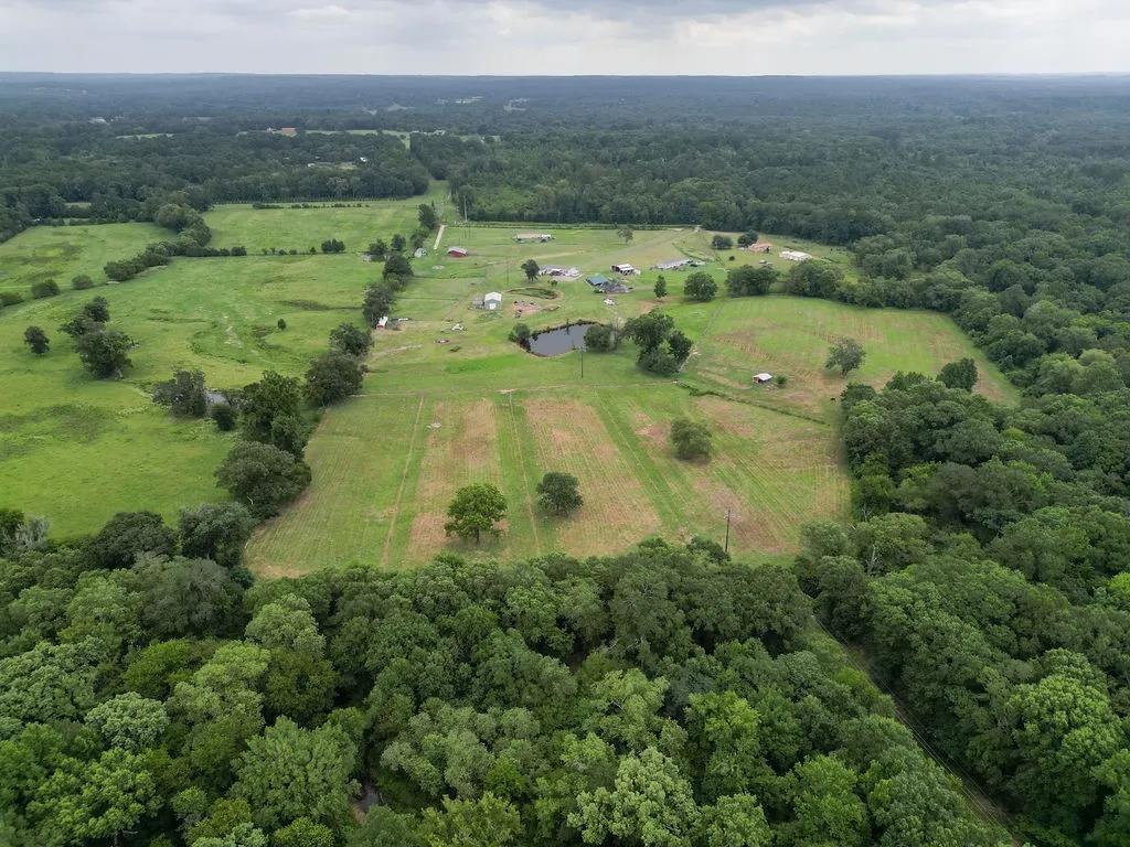 Farm For Sale in Wood County , 1509 County Road 3170, Quitman, Texas 75783, 4 Bedrooms, 2 Bathrooms, Garage spaces, 2,176 Sqft, built in 2021, Price $550,000, mls#21341932, Real Estate Agent in Quitman, Homes For Sale in Wood county, Homes For Sale in Quitman, Realtor in Quitman Texas, Real Estate Brokerage Independent Realty Texas, Luminita Cordes Realtor