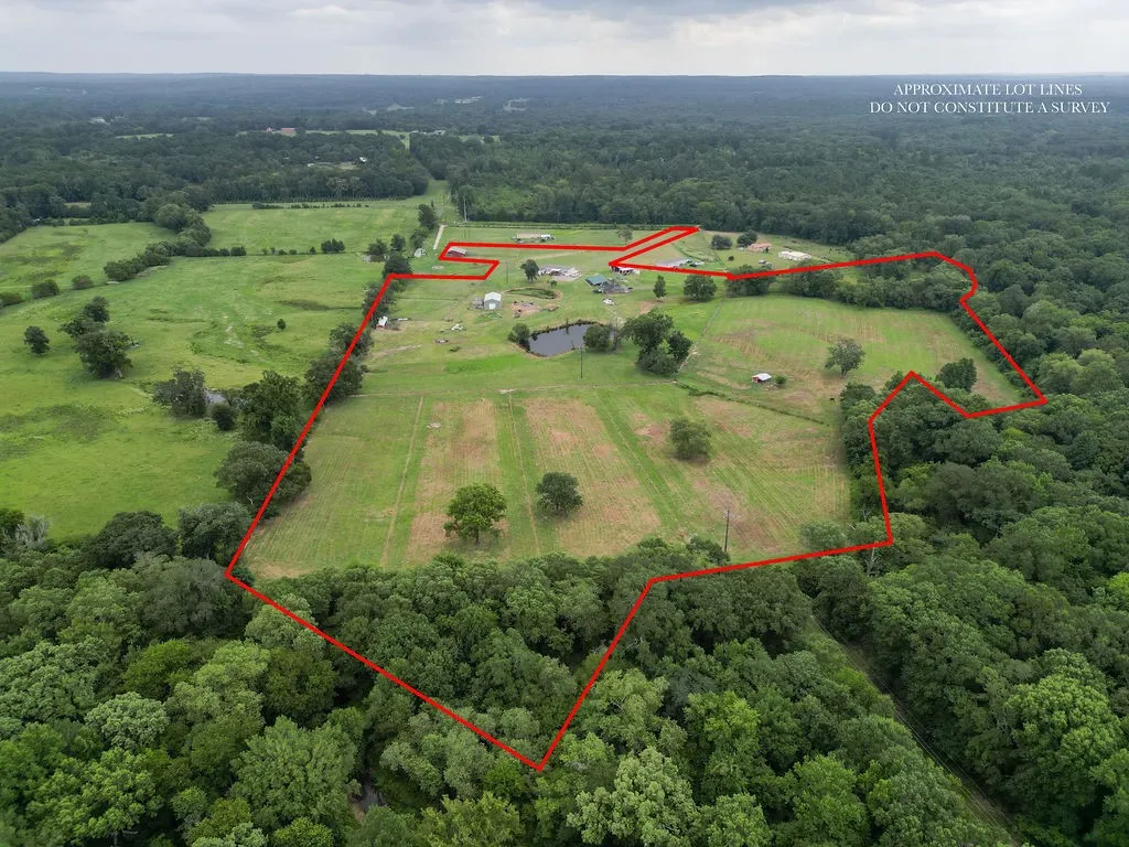 Farm For Sale in Wood County , 1509 County Road 3170, Quitman, Texas 75783, 4 Bedrooms, 2 Bathrooms, Garage spaces, 2,176 Sqft, built in 2021, Price $550,000, mls#21341932, Real Estate Agent in Quitman, Homes For Sale in Wood county, Homes For Sale in Quitman, Realtor in Quitman Texas, Real Estate Brokerage Independent Realty Texas, Luminita Cordes Realtor