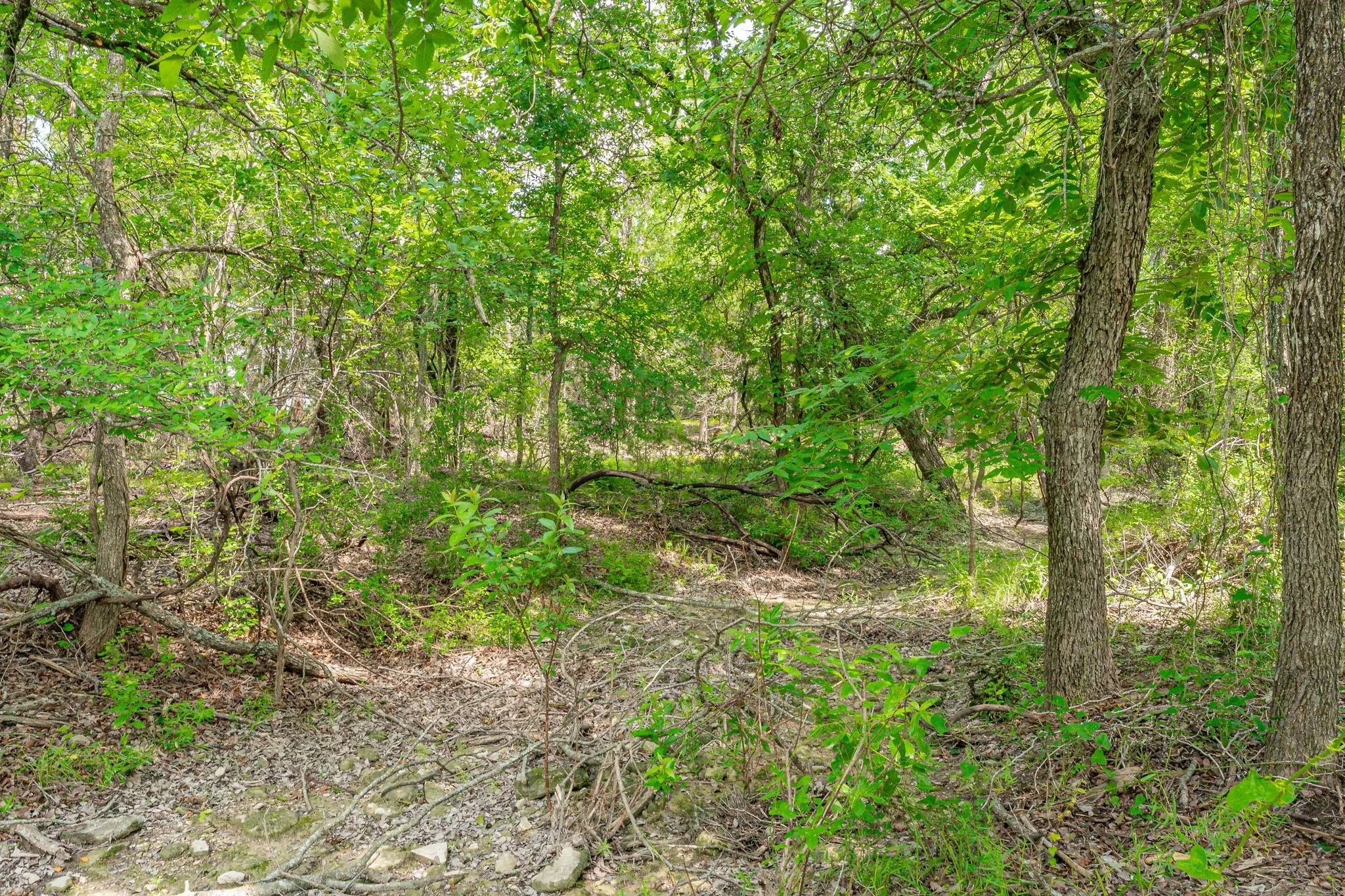 Ranch For Sale in Comanche County , 2401 County Road 382, Carlton, Texas 76436, 0, 0, Garage spaces, 0 Sqft, built in 1945, mls#21341176, Real Estate Agent in Carlton, Homes For Sale in Comanche county, Homes For Sale in Carlton, Realtor in Carlton Texas, Real Estate Brokerage Independent Realty Texas, Luminita Cordes Realtor