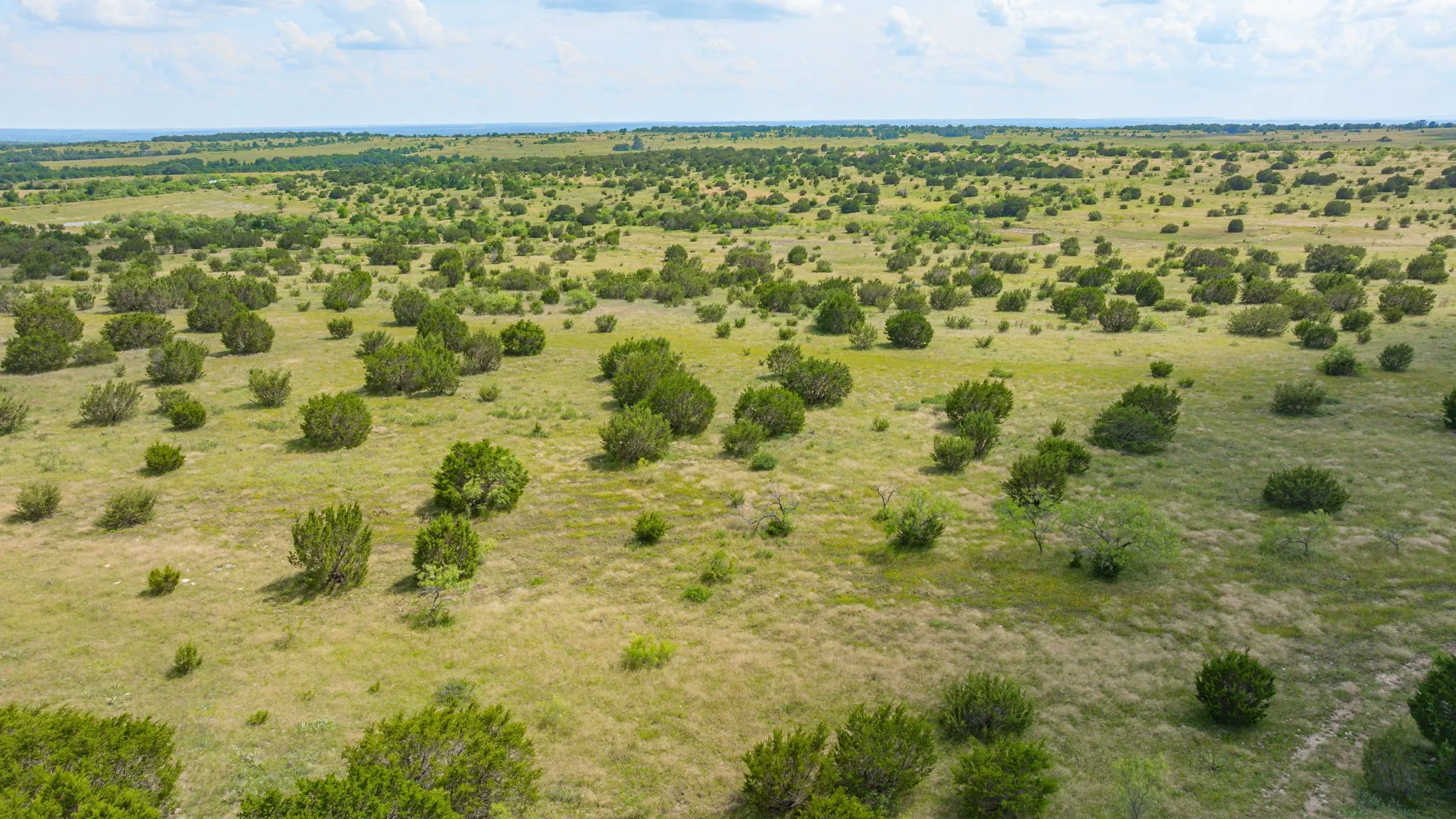 Ranch For Sale in Comanche County , 2401 County Road 382, Carlton, Texas 76436, 0, 0, Garage spaces, 0 Sqft, built in 1945, mls#21341176, Real Estate Agent in Carlton, Homes For Sale in Comanche county, Homes For Sale in Carlton, Realtor in Carlton Texas, Real Estate Brokerage Independent Realty Texas, Luminita Cordes Realtor