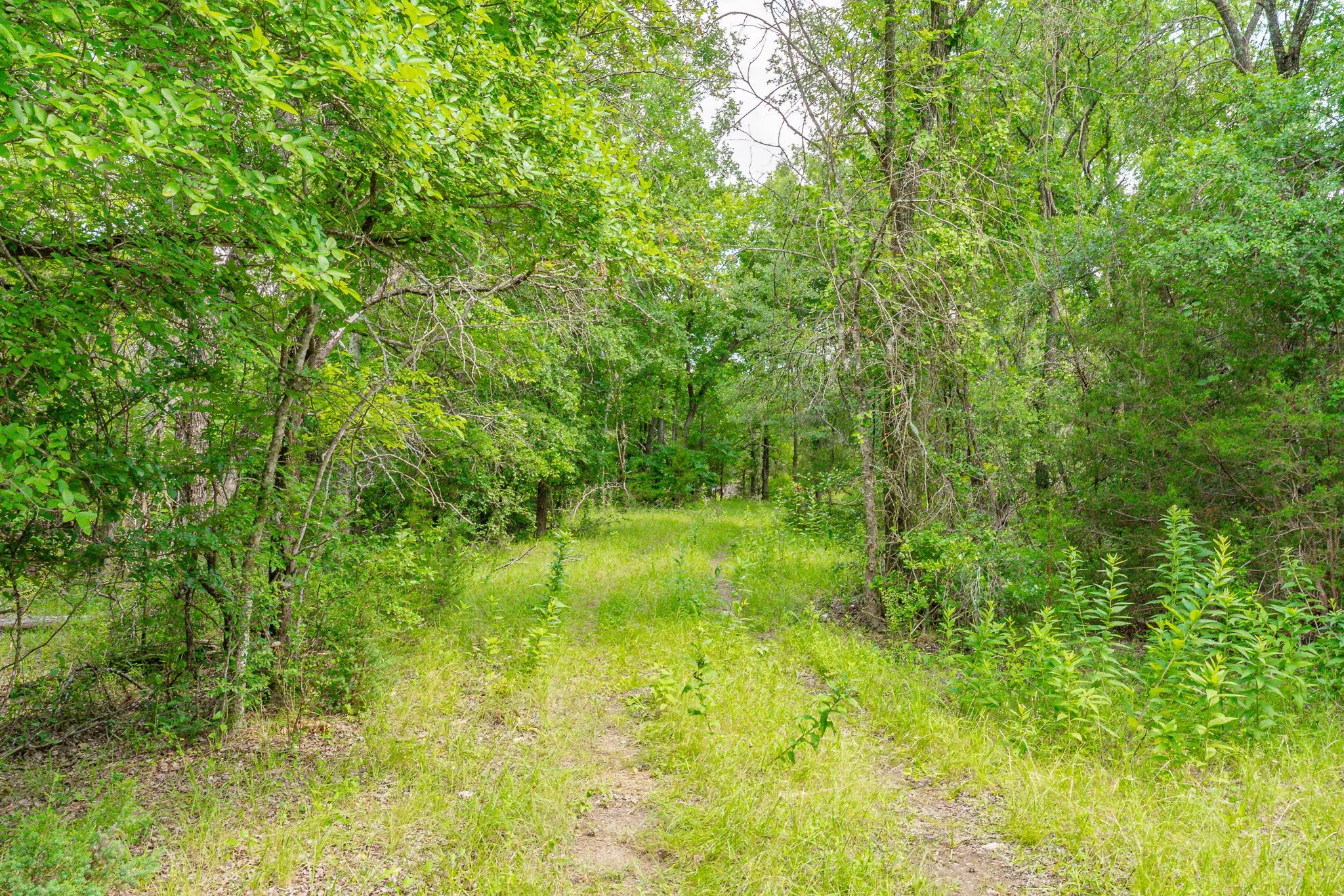Ranch For Sale in Comanche County , 2401 County Road 382, Carlton, Texas 76436, 0, 0, Garage spaces, 0 Sqft, built in 1945, mls#21341176, Real Estate Agent in Carlton, Homes For Sale in Comanche county, Homes For Sale in Carlton, Realtor in Carlton Texas, Real Estate Brokerage Independent Realty Texas, Luminita Cordes Realtor