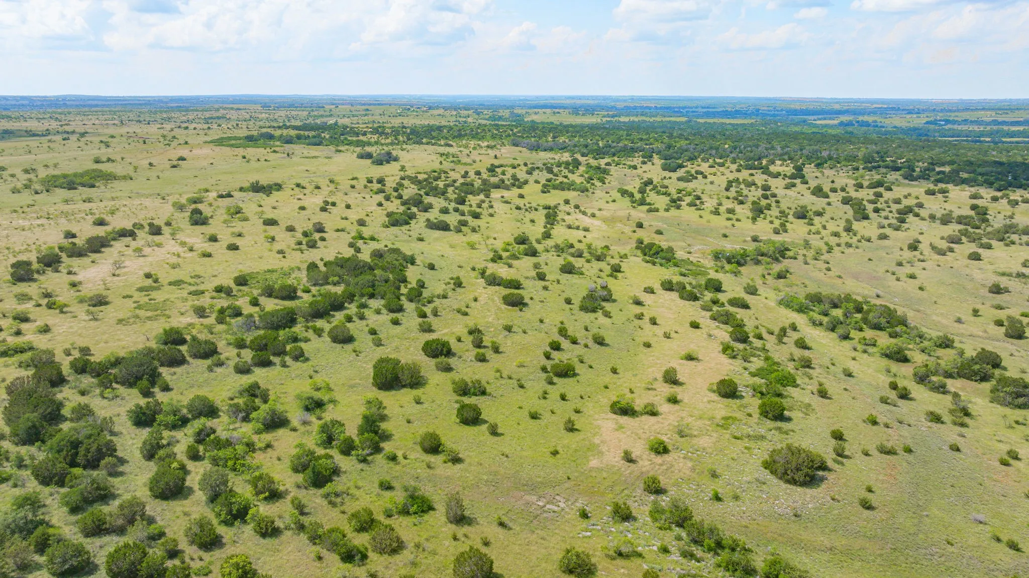 Ranch For Sale in Comanche County , 2401 County Road 382, Carlton, Texas 76436, 0, 0, Garage spaces, 0 Sqft, built in 1945, mls#21341176, Real Estate Agent in Carlton, Homes For Sale in Comanche county, Homes For Sale in Carlton, Realtor in Carlton Texas, Real Estate Brokerage Independent Realty Texas, Luminita Cordes Realtor