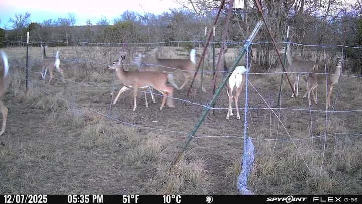 Ranch For Sale in Comanche County , 2401 County Road 382, Carlton, Texas 76436, 0, 0, Garage spaces, 0 Sqft, built in 1945, mls#21341176, Real Estate Agent in Carlton, Homes For Sale in Comanche county, Homes For Sale in Carlton, Realtor in Carlton Texas, Real Estate Brokerage Independent Realty Texas, Luminita Cordes Realtor