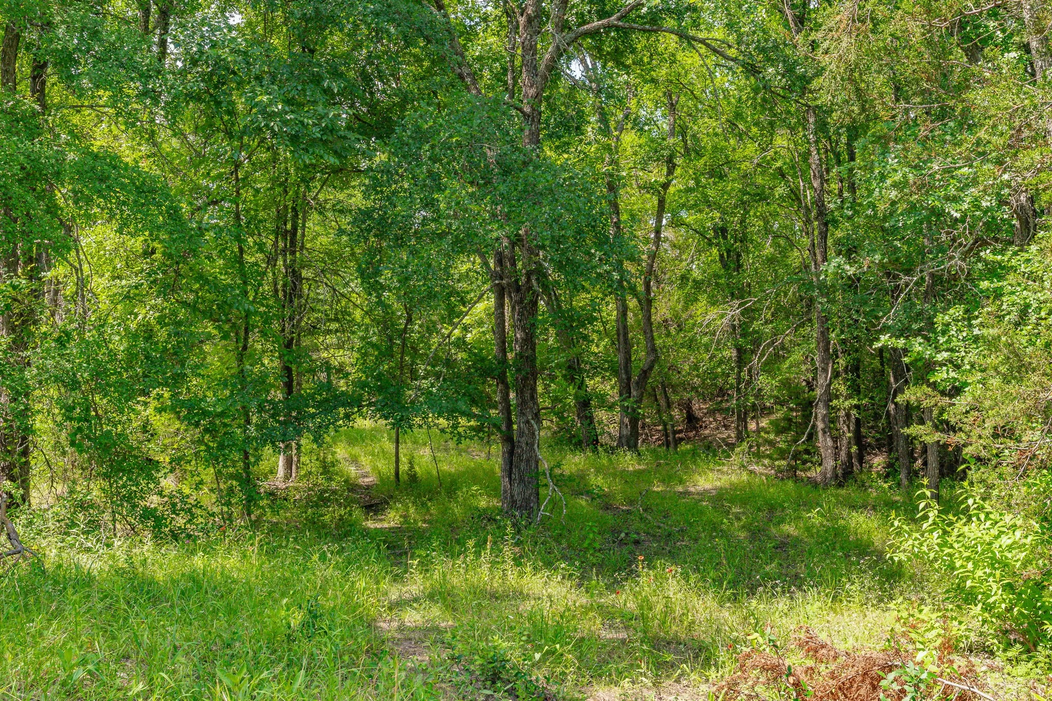 Ranch For Sale in Comanche County , 2401 County Road 382, Carlton, Texas 76436, 0, 0, Garage spaces, 0 Sqft, built in 1945, mls#21341176, Real Estate Agent in Carlton, Homes For Sale in Comanche county, Homes For Sale in Carlton, Realtor in Carlton Texas, Real Estate Brokerage Independent Realty Texas, Luminita Cordes Realtor