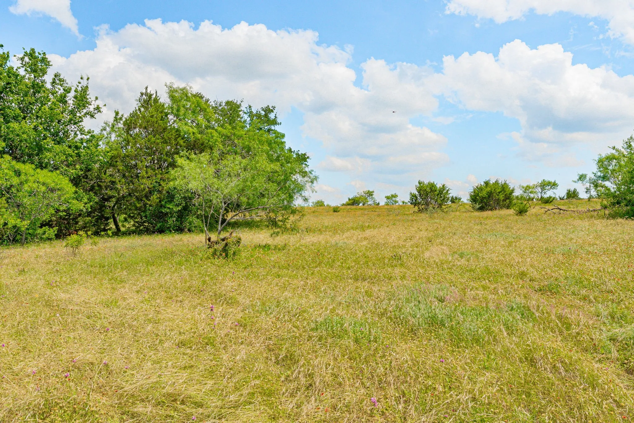 Ranch For Sale in Comanche County , 2401 County Road 382, Carlton, Texas 76436, 0, 0, Garage spaces, 0 Sqft, built in 1945, mls#21341176, Real Estate Agent in Carlton, Homes For Sale in Comanche county, Homes For Sale in Carlton, Realtor in Carlton Texas, Real Estate Brokerage Independent Realty Texas, Luminita Cordes Realtor
