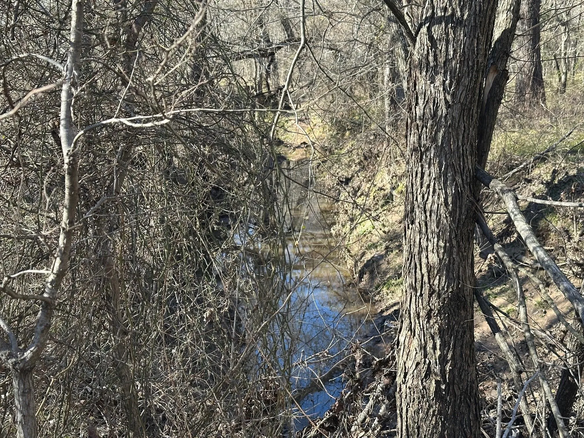 Unimproved Land For Sale in Hopkins County , 11.66 AC FM 71 W, Sulphur Springs, Texas 75482, 0, 0, Garage spaces, 0 Sqft, built in 0, mls#21342241, Real Estate Agent in Sulphur Springs, Homes For Sale in Hopkins county, Homes For Sale in Sulphur Springs, Realtor in Sulphur Springs Texas, Real Estate Brokerage Independent Realty Texas, Luminita Cordes Realtor