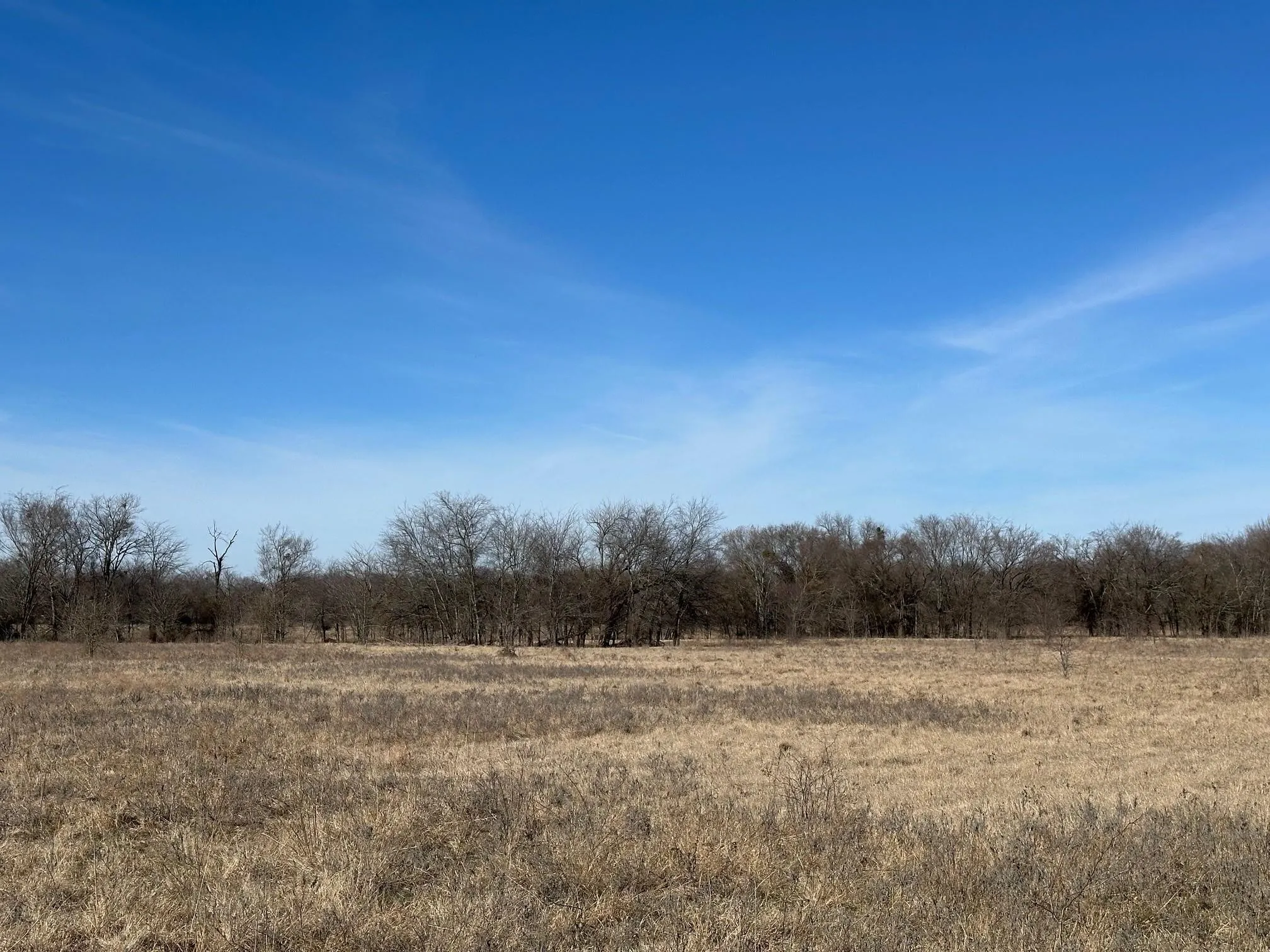 Unimproved Land For Sale in Hopkins County , 11.66 AC FM 71 W, Sulphur Springs, Texas 75482, 0, 0, Garage spaces, 0 Sqft, built in 0, mls#21342241, Real Estate Agent in Sulphur Springs, Homes For Sale in Hopkins county, Homes For Sale in Sulphur Springs, Realtor in Sulphur Springs Texas, Real Estate Brokerage Independent Realty Texas, Luminita Cordes Realtor