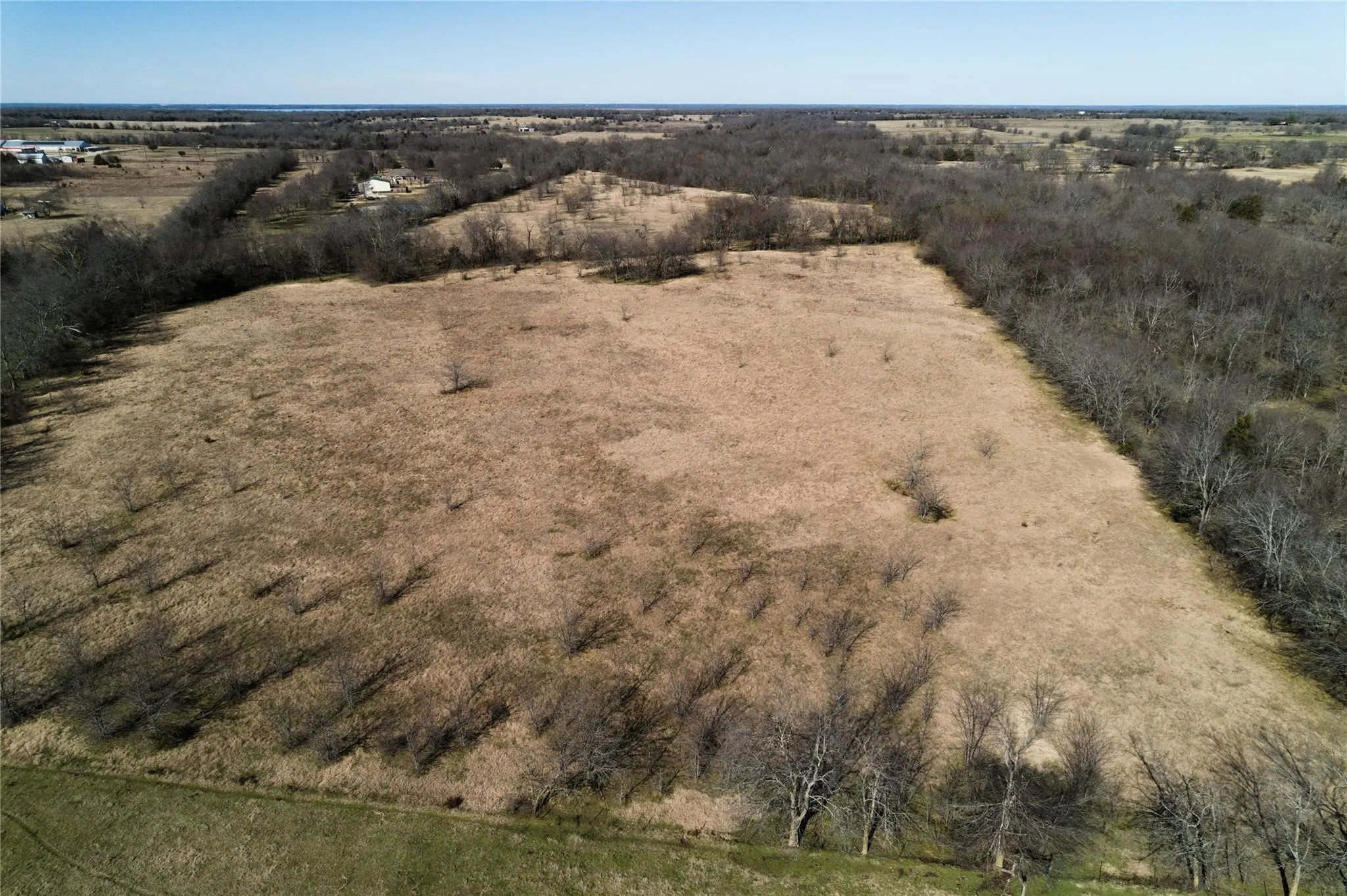 Unimproved Land For Sale in Hopkins County , 11.66 AC FM 71 W, Sulphur Springs, Texas 75482, 0, 0, Garage spaces, 0 Sqft, built in 0, mls#21342241, Real Estate Agent in Sulphur Springs, Homes For Sale in Hopkins county, Homes For Sale in Sulphur Springs, Realtor in Sulphur Springs Texas, Real Estate Brokerage Independent Realty Texas, Luminita Cordes Realtor