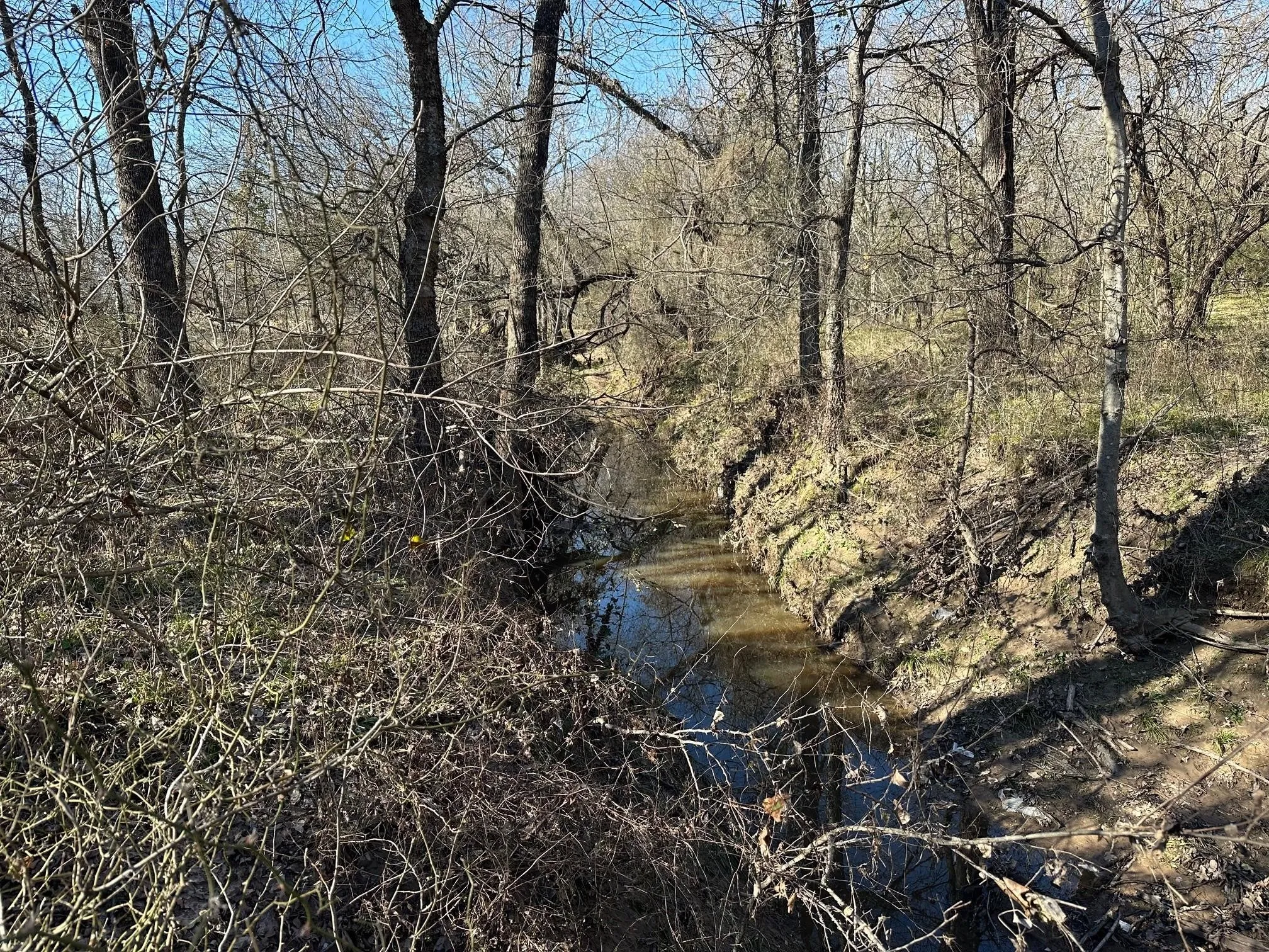 Unimproved Land For Sale in Hopkins County , 11.66 AC FM 71 W, Sulphur Springs, Texas 75482, 0, 0, Garage spaces, 0 Sqft, built in 0, mls#21342241, Real Estate Agent in Sulphur Springs, Homes For Sale in Hopkins county, Homes For Sale in Sulphur Springs, Realtor in Sulphur Springs Texas, Real Estate Brokerage Independent Realty Texas, Luminita Cordes Realtor