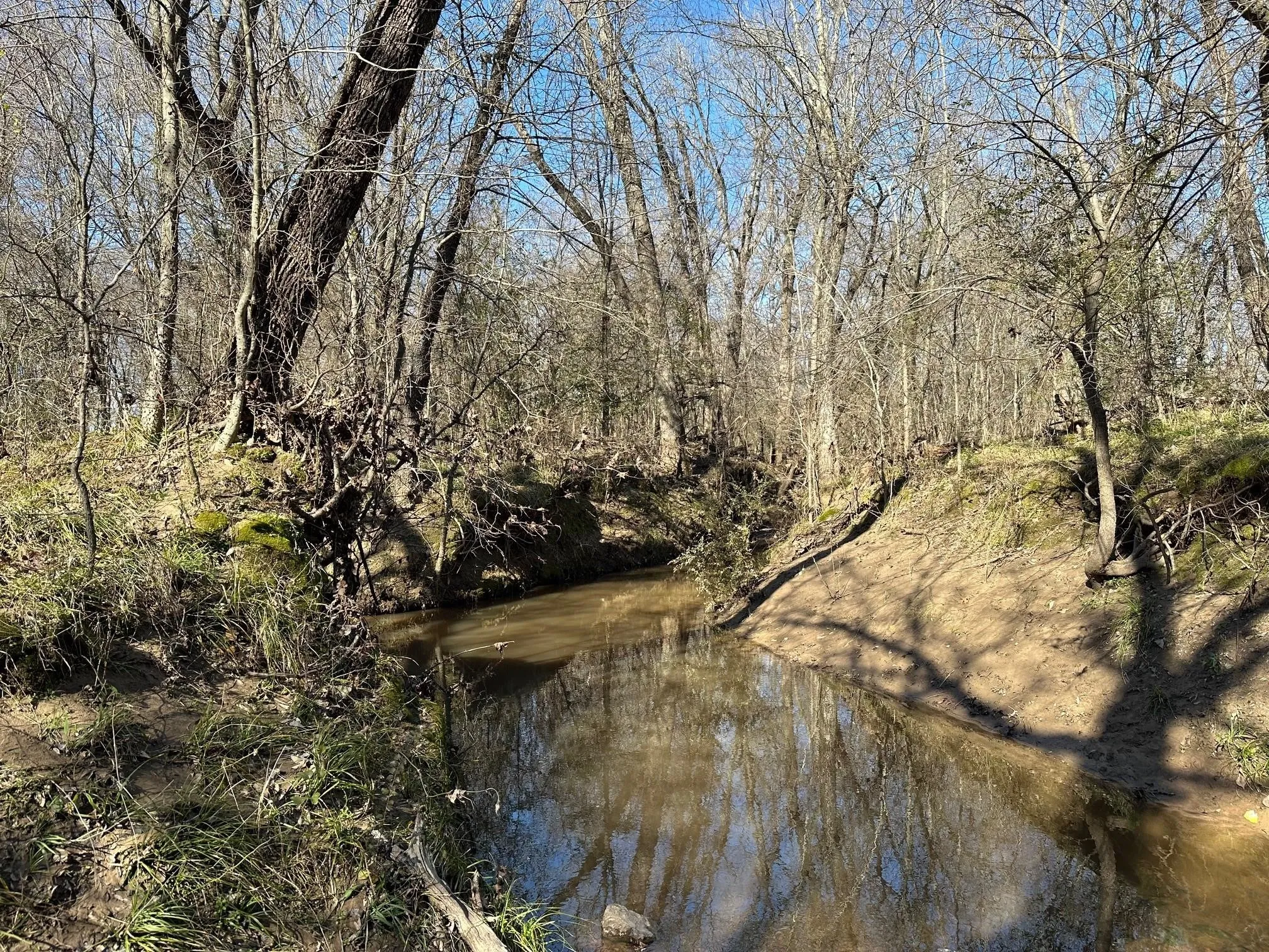 Unimproved Land For Sale in Hopkins County , 11.66 AC FM 71 W, Sulphur Springs, Texas 75482, 0, 0, Garage spaces, 0 Sqft, built in 0, mls#21342241, Real Estate Agent in Sulphur Springs, Homes For Sale in Hopkins county, Homes For Sale in Sulphur Springs, Realtor in Sulphur Springs Texas, Real Estate Brokerage Independent Realty Texas, Luminita Cordes Realtor