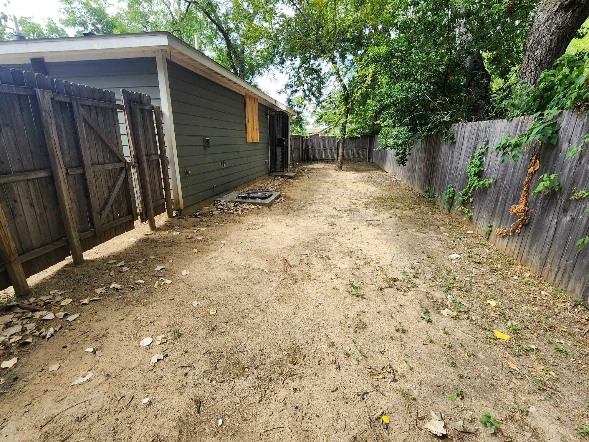 Back yard