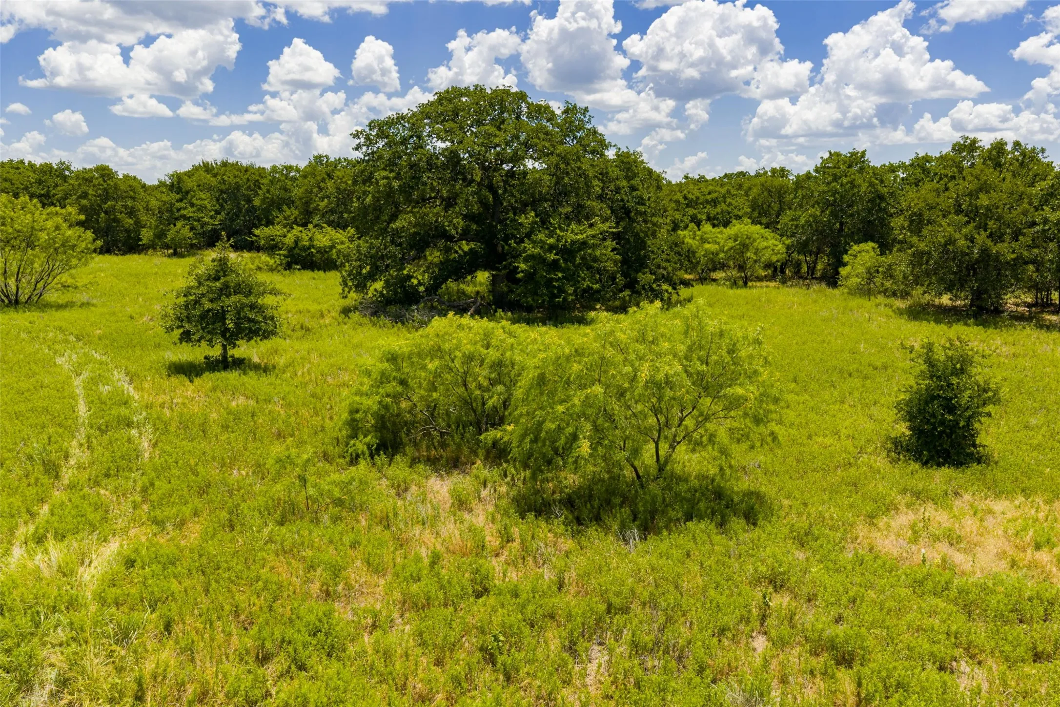 Unimproved Land For Sale in Jack County , TBD 59 Hwy, Bowie, Texas 76230, 0, 0, Garage spaces, 0 Sqft, built in 0, mls#21342266, Real Estate Agent in Bowie, Homes For Sale in Jack county, Homes For Sale in Bowie, Realtor in Bowie Texas, Real Estate Brokerage Independent Realty Texas, Luminita Cordes Realtor