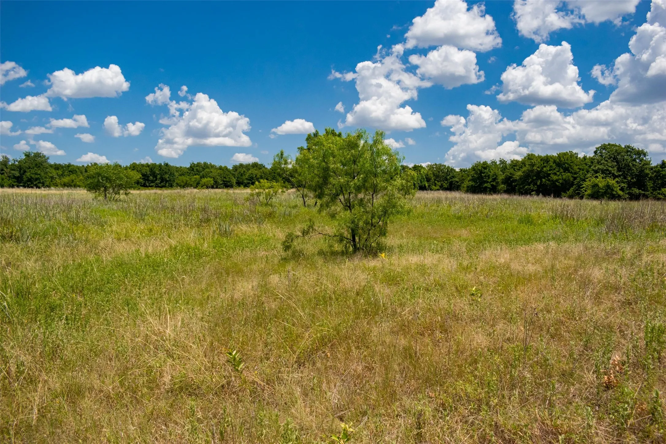 Unimproved Land For Sale in Jack County , TBD 59 Hwy, Bowie, Texas 76230, 0, 0, Garage spaces, 0 Sqft, built in 0, mls#21342266, Real Estate Agent in Bowie, Homes For Sale in Jack county, Homes For Sale in Bowie, Realtor in Bowie Texas, Real Estate Brokerage Independent Realty Texas, Luminita Cordes Realtor