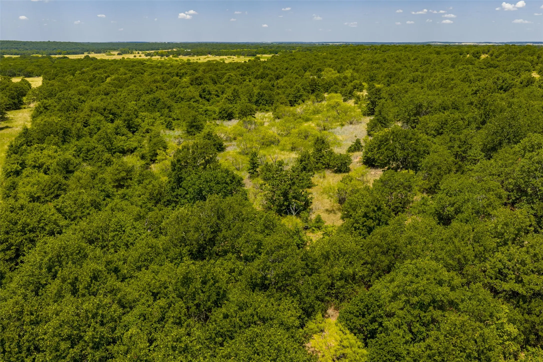 Unimproved Land For Sale in Jack County , TBD 59 Hwy, Bowie, Texas 76230, 0, 0, Garage spaces, 0 Sqft, built in 0, mls#21342266, Real Estate Agent in Bowie, Homes For Sale in Jack county, Homes For Sale in Bowie, Realtor in Bowie Texas, Real Estate Brokerage Independent Realty Texas, Luminita Cordes Realtor