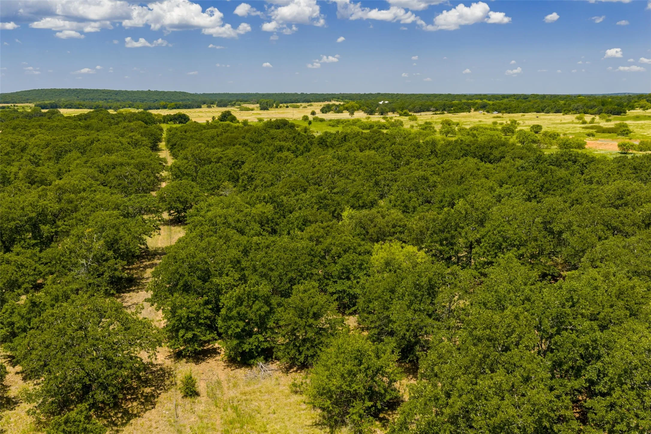 Unimproved Land For Sale in Jack County , TBD 59 Hwy, Bowie, Texas 76230, 0, 0, Garage spaces, 0 Sqft, built in 0, mls#21342266, Real Estate Agent in Bowie, Homes For Sale in Jack county, Homes For Sale in Bowie, Realtor in Bowie Texas, Real Estate Brokerage Independent Realty Texas, Luminita Cordes Realtor
