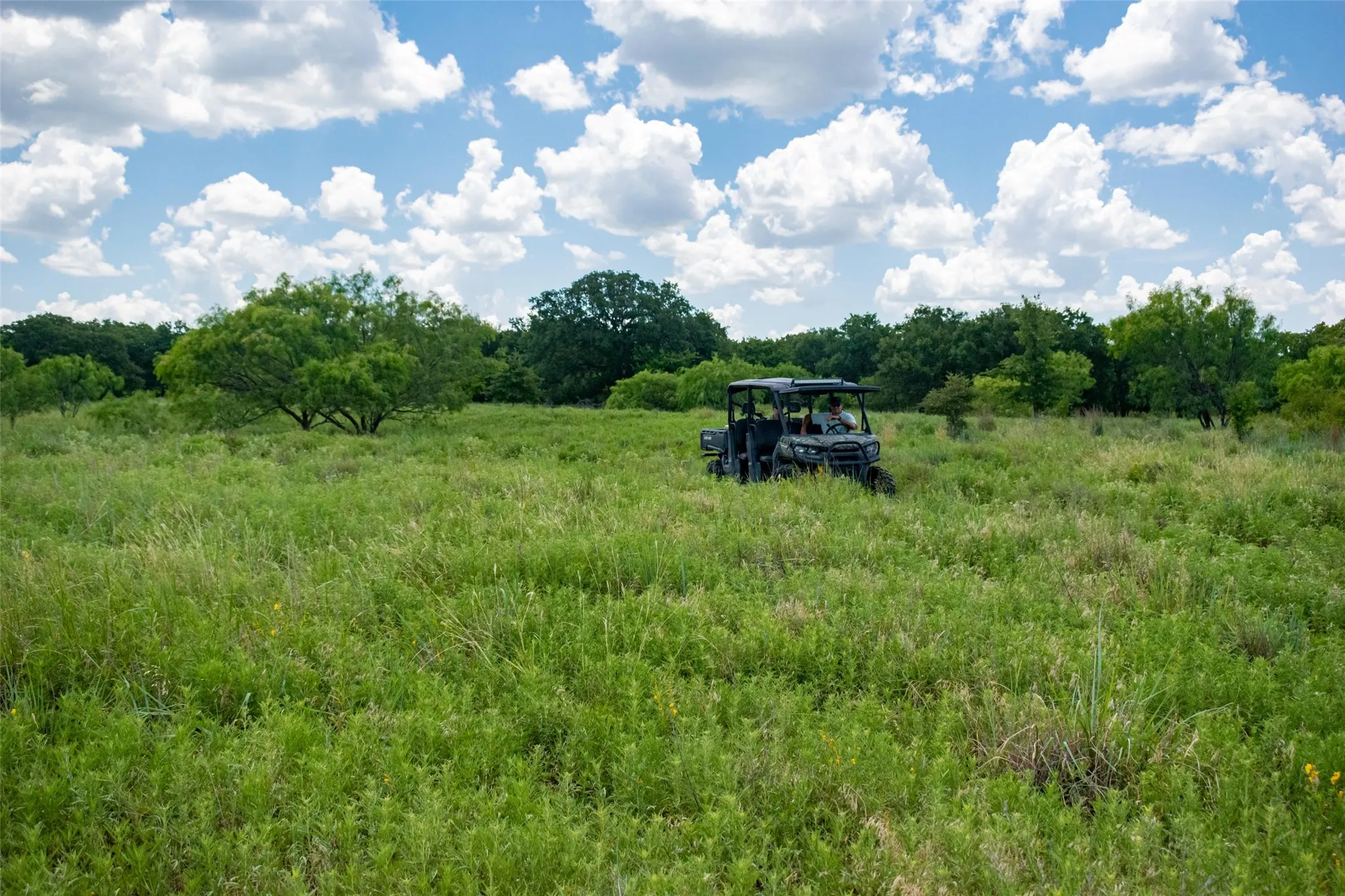 Unimproved Land For Sale in Jack County , TBD 59 Hwy, Bowie, Texas 76230, 0, 0, Garage spaces, 0 Sqft, built in 0, mls#21342266, Real Estate Agent in Bowie, Homes For Sale in Jack county, Homes For Sale in Bowie, Realtor in Bowie Texas, Real Estate Brokerage Independent Realty Texas, Luminita Cordes Realtor