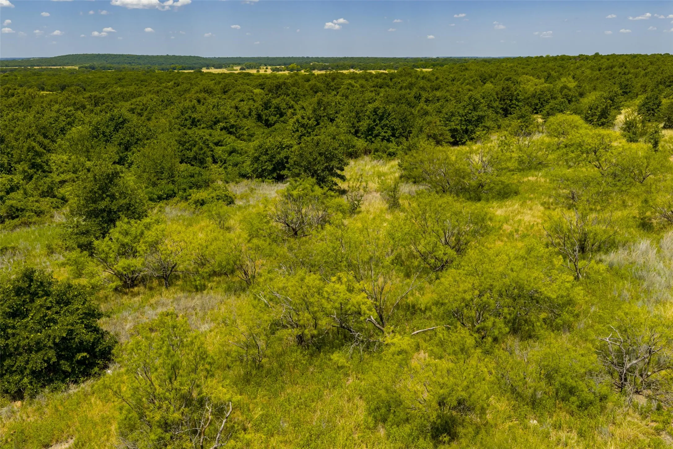 Unimproved Land For Sale in Jack County , TBD 59 Hwy, Bowie, Texas 76230, 0, 0, Garage spaces, 0 Sqft, built in 0, mls#21342266, Real Estate Agent in Bowie, Homes For Sale in Jack county, Homes For Sale in Bowie, Realtor in Bowie Texas, Real Estate Brokerage Independent Realty Texas, Luminita Cordes Realtor