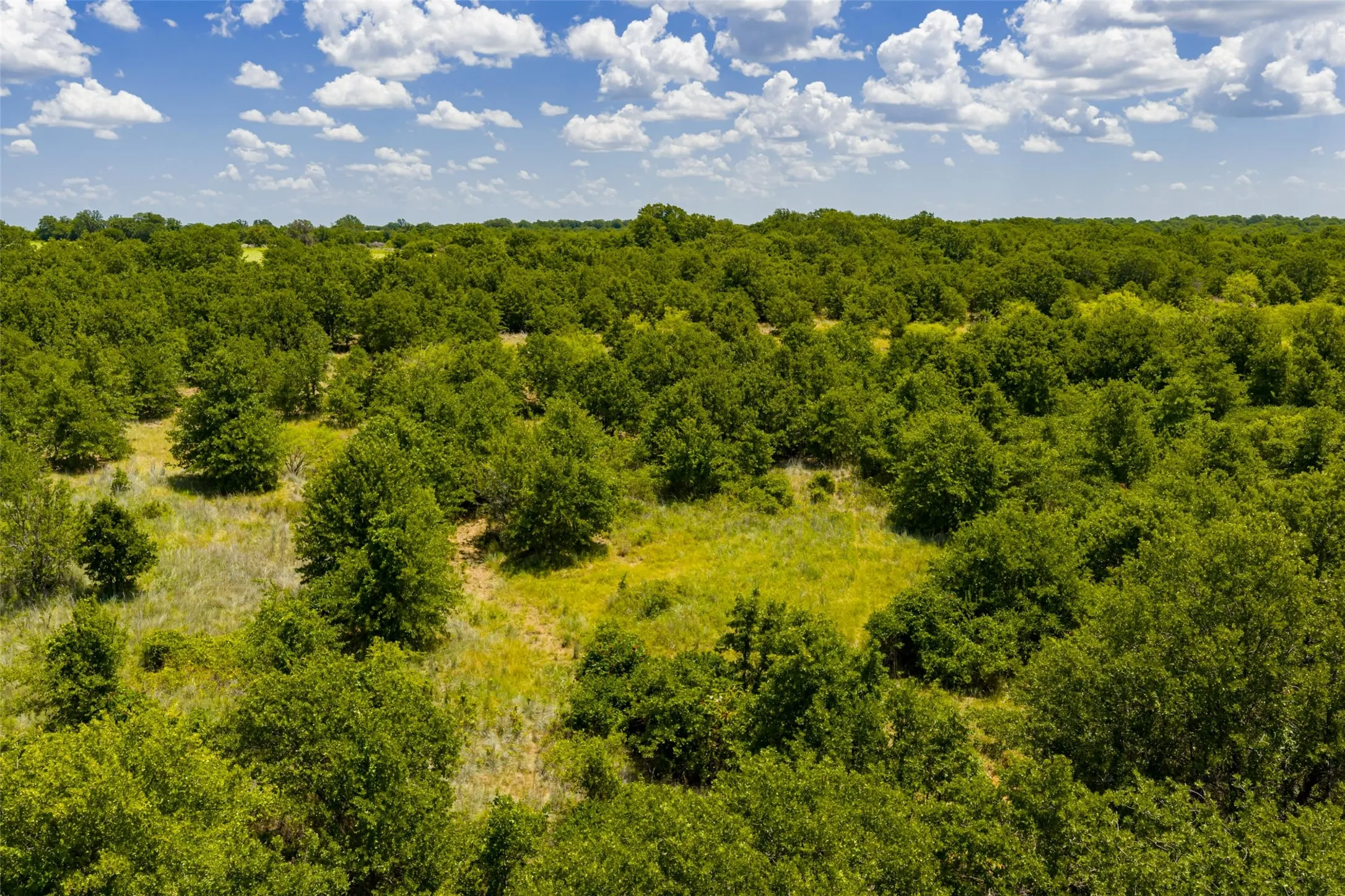 Unimproved Land For Sale in Jack County , TBD 59 Hwy, Bowie, Texas 76230, 0, 0, Garage spaces, 0 Sqft, built in 0, mls#21342266, Real Estate Agent in Bowie, Homes For Sale in Jack county, Homes For Sale in Bowie, Realtor in Bowie Texas, Real Estate Brokerage Independent Realty Texas, Luminita Cordes Realtor