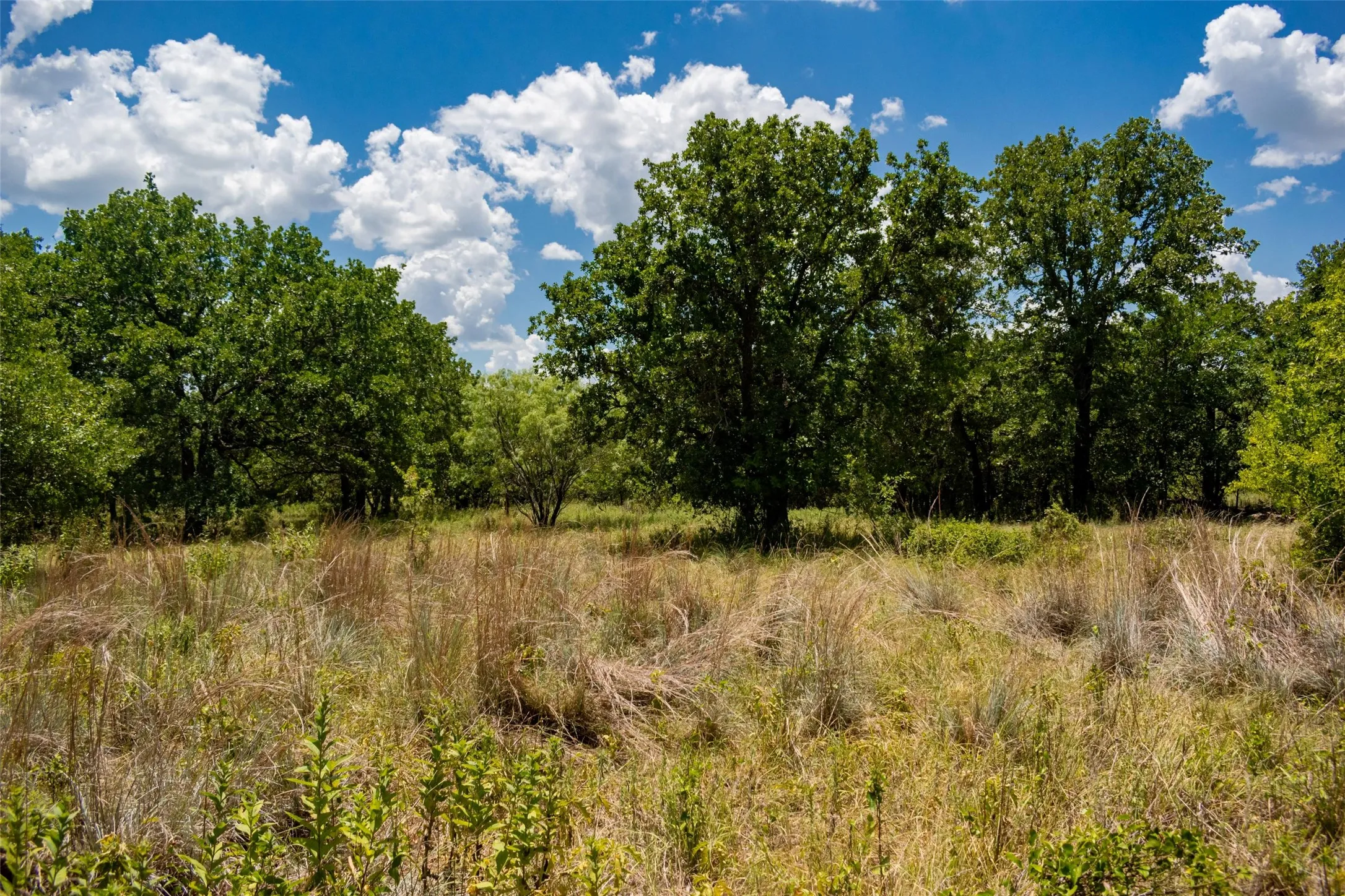 Unimproved Land For Sale in Jack County , TBD 59 Hwy, Bowie, Texas 76230, 0, 0, Garage spaces, 0 Sqft, built in 0, mls#21342266, Real Estate Agent in Bowie, Homes For Sale in Jack county, Homes For Sale in Bowie, Realtor in Bowie Texas, Real Estate Brokerage Independent Realty Texas, Luminita Cordes Realtor