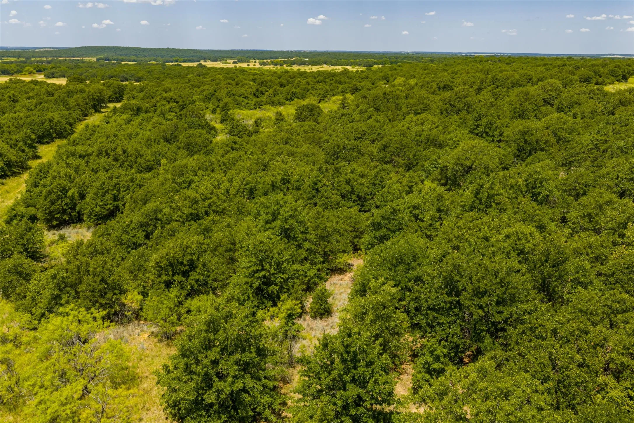 Unimproved Land For Sale in Jack County , TBD 59 Hwy, Bowie, Texas 76230, 0, 0, Garage spaces, 0 Sqft, built in 0, mls#21342266, Real Estate Agent in Bowie, Homes For Sale in Jack county, Homes For Sale in Bowie, Realtor in Bowie Texas, Real Estate Brokerage Independent Realty Texas, Luminita Cordes Realtor