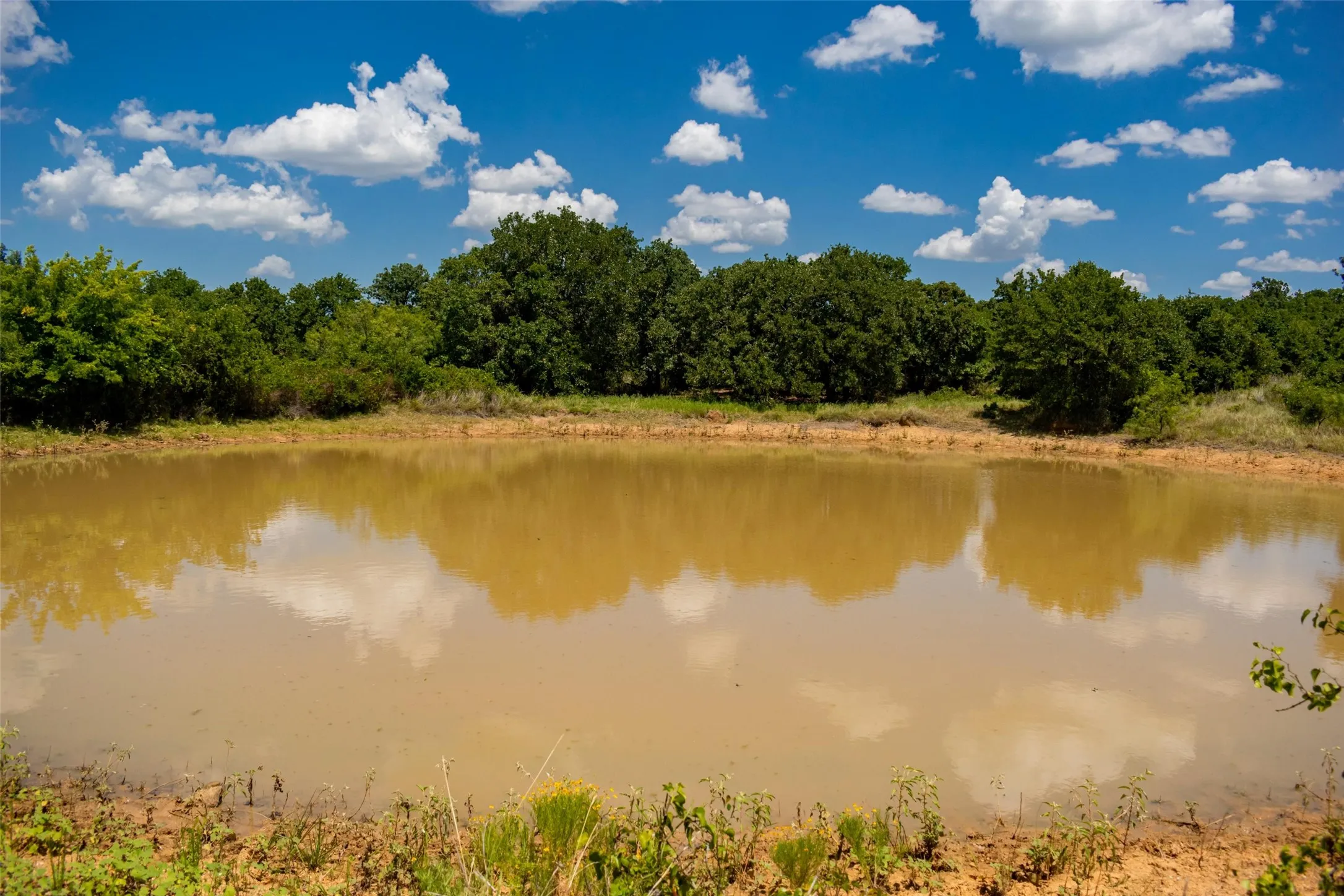 Unimproved Land For Sale in Jack County , TBD 59 Hwy, Bowie, Texas 76230, 0, 0, Garage spaces, 0 Sqft, built in 0, mls#21342266, Real Estate Agent in Bowie, Homes For Sale in Jack county, Homes For Sale in Bowie, Realtor in Bowie Texas, Real Estate Brokerage Independent Realty Texas, Luminita Cordes Realtor
