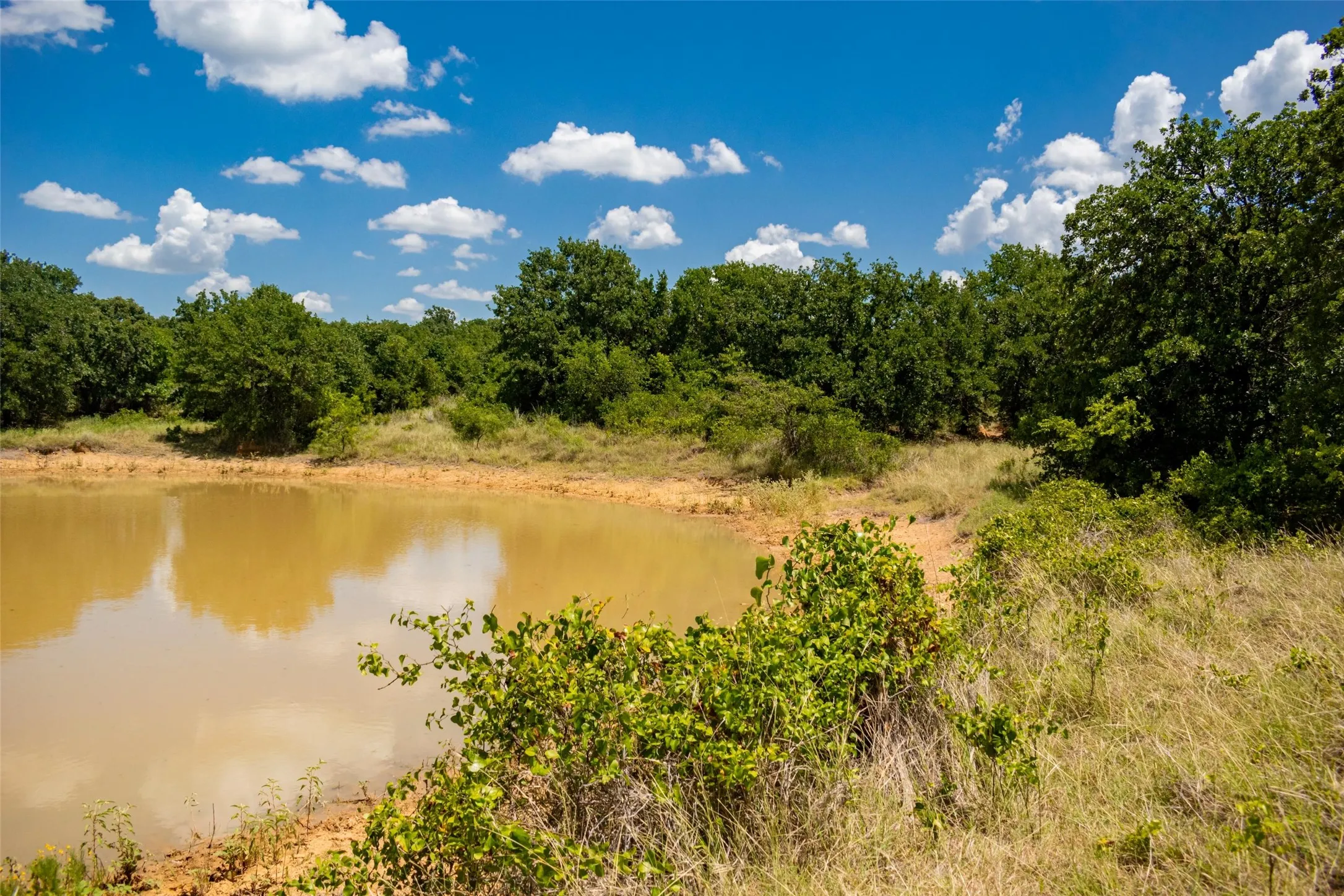 Unimproved Land For Sale in Jack County , TBD 59 Hwy, Bowie, Texas 76230, 0, 0, Garage spaces, 0 Sqft, built in 0, mls#21342266, Real Estate Agent in Bowie, Homes For Sale in Jack county, Homes For Sale in Bowie, Realtor in Bowie Texas, Real Estate Brokerage Independent Realty Texas, Luminita Cordes Realtor