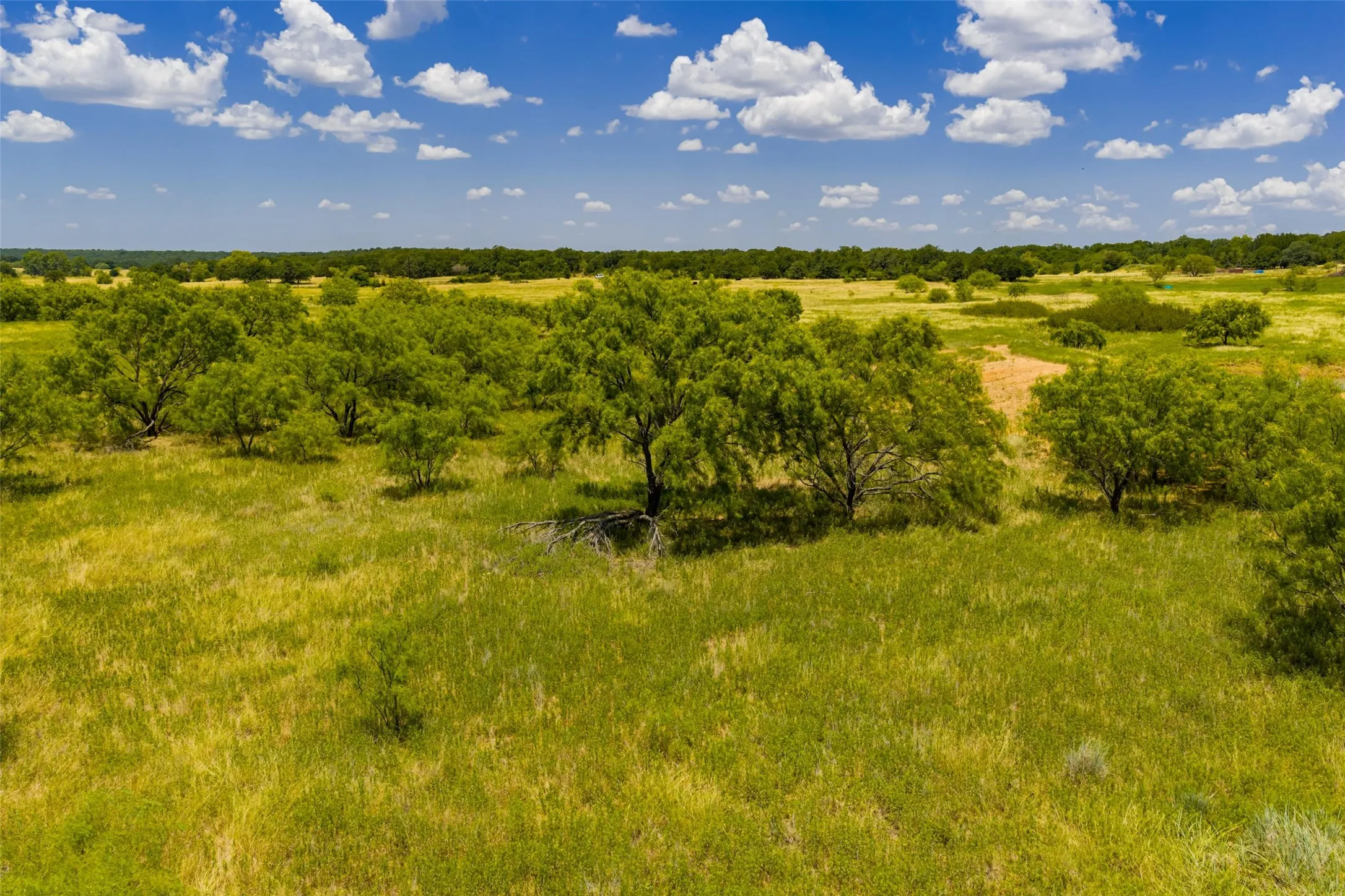 Unimproved Land For Sale in Jack County , TBD 59 Hwy, Bowie, Texas 76230, 0, 0, Garage spaces, 0 Sqft, built in 0, mls#21342266, Real Estate Agent in Bowie, Homes For Sale in Jack county, Homes For Sale in Bowie, Realtor in Bowie Texas, Real Estate Brokerage Independent Realty Texas, Luminita Cordes Realtor