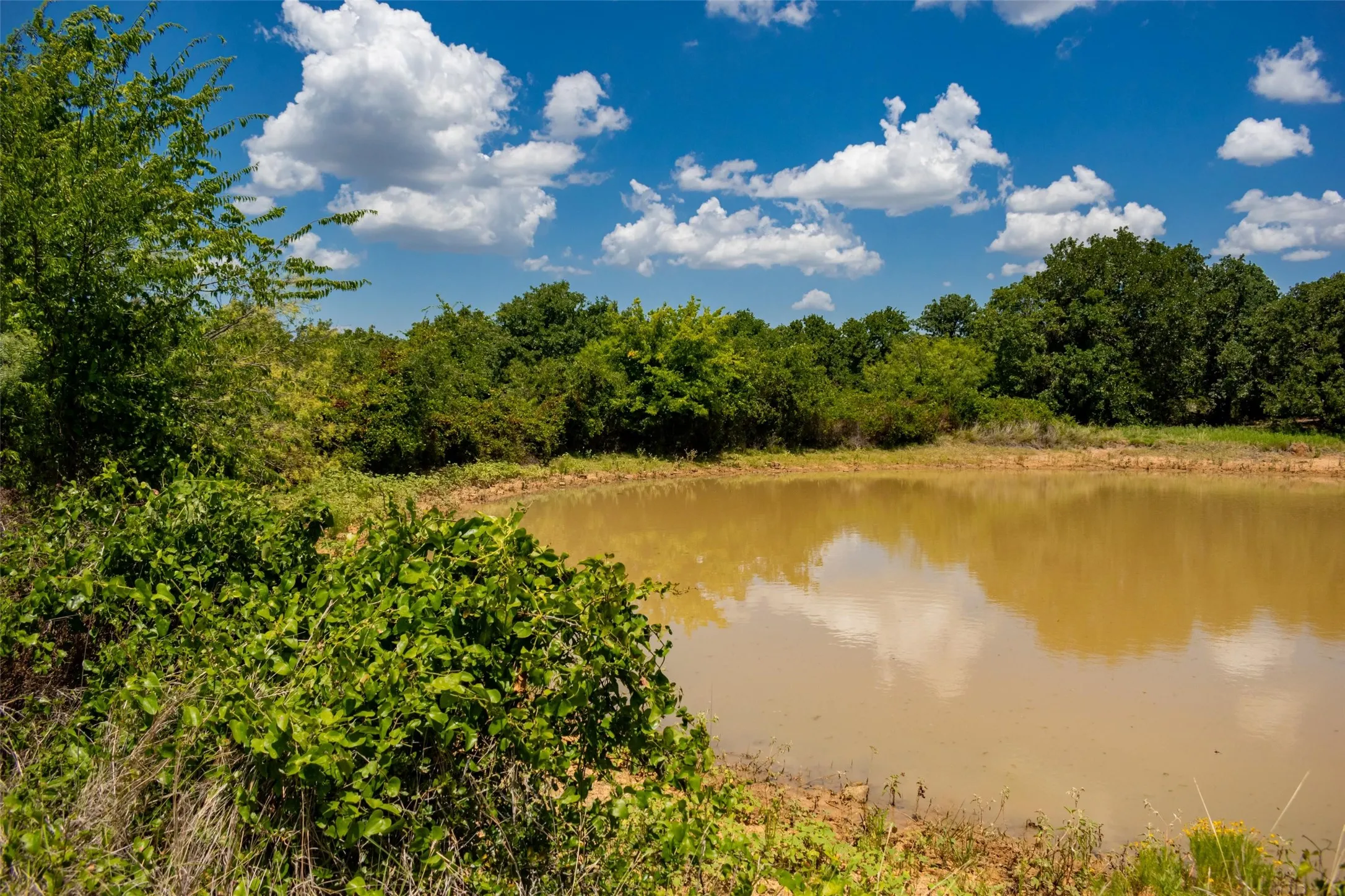 Unimproved Land For Sale in Jack County , TBD 59 Hwy, Bowie, Texas 76230, 0, 0, Garage spaces, 0 Sqft, built in 0, mls#21342266, Real Estate Agent in Bowie, Homes For Sale in Jack county, Homes For Sale in Bowie, Realtor in Bowie Texas, Real Estate Brokerage Independent Realty Texas, Luminita Cordes Realtor