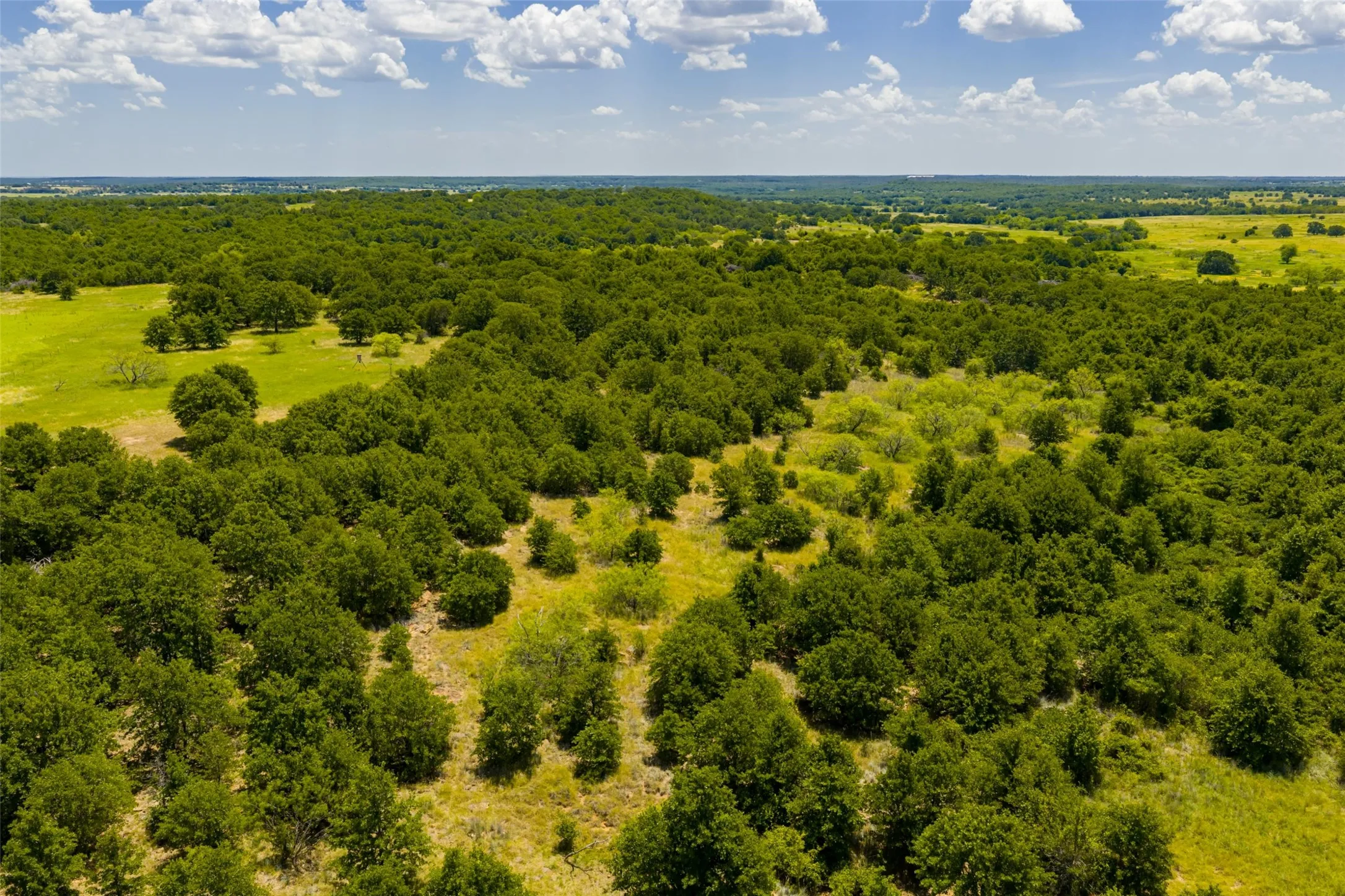 Unimproved Land For Sale in Jack County , TBD 59 Hwy, Bowie, Texas 76230, 0, 0, Garage spaces, 0 Sqft, built in 0, mls#21342266, Real Estate Agent in Bowie, Homes For Sale in Jack county, Homes For Sale in Bowie, Realtor in Bowie Texas, Real Estate Brokerage Independent Realty Texas, Luminita Cordes Realtor
