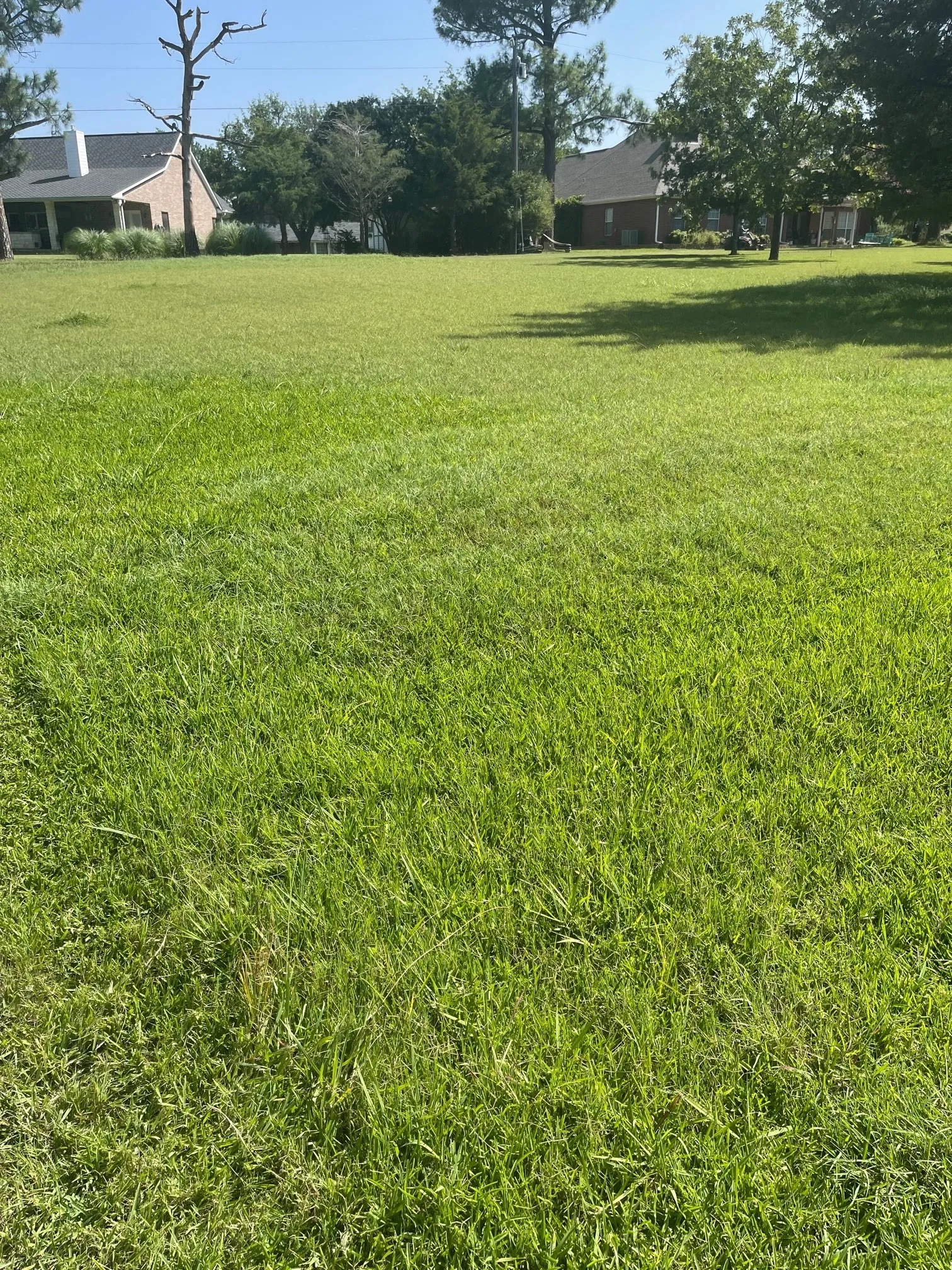 Unimproved Land For Sale in Grayson County , TBD Randall Terrace Road, Denison, Texas 75020, 0, 0, Garage spaces, 0 Sqft, built in 0, mls#21342274, Real Estate Agent in Denison, Homes For Sale in Grayson county, Homes For Sale in Denison, Realtor in Denison Texas, Real Estate Brokerage Independent Realty Texas, Luminita Cordes Realtor