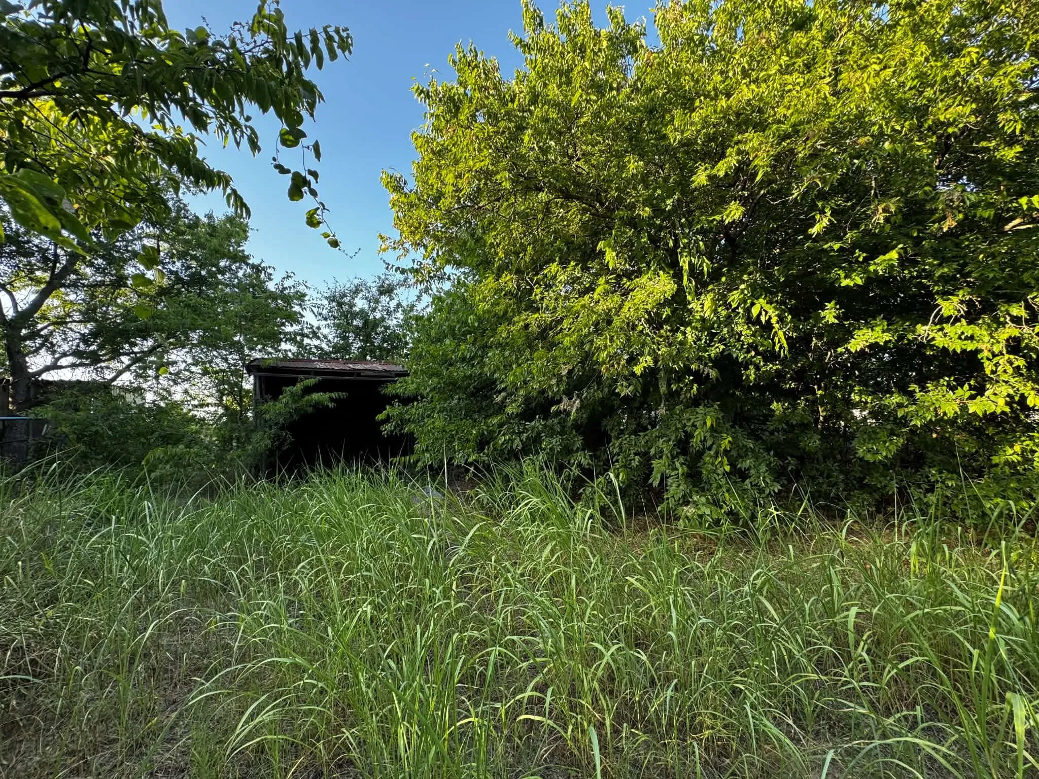 Improved Land For Sale in Denton County , 4270 Belz Road, Sanger, Texas 76266, 0, 0, Garage spaces, 0 Sqft, built in 0, Price $275,000, mls#21342257, Real Estate Agent in Sanger, Homes For Sale in Denton county, Homes For Sale in Sanger, Realtor in Sanger Texas, Real Estate Brokerage Independent Realty Texas, Luminita Cordes Realtor
