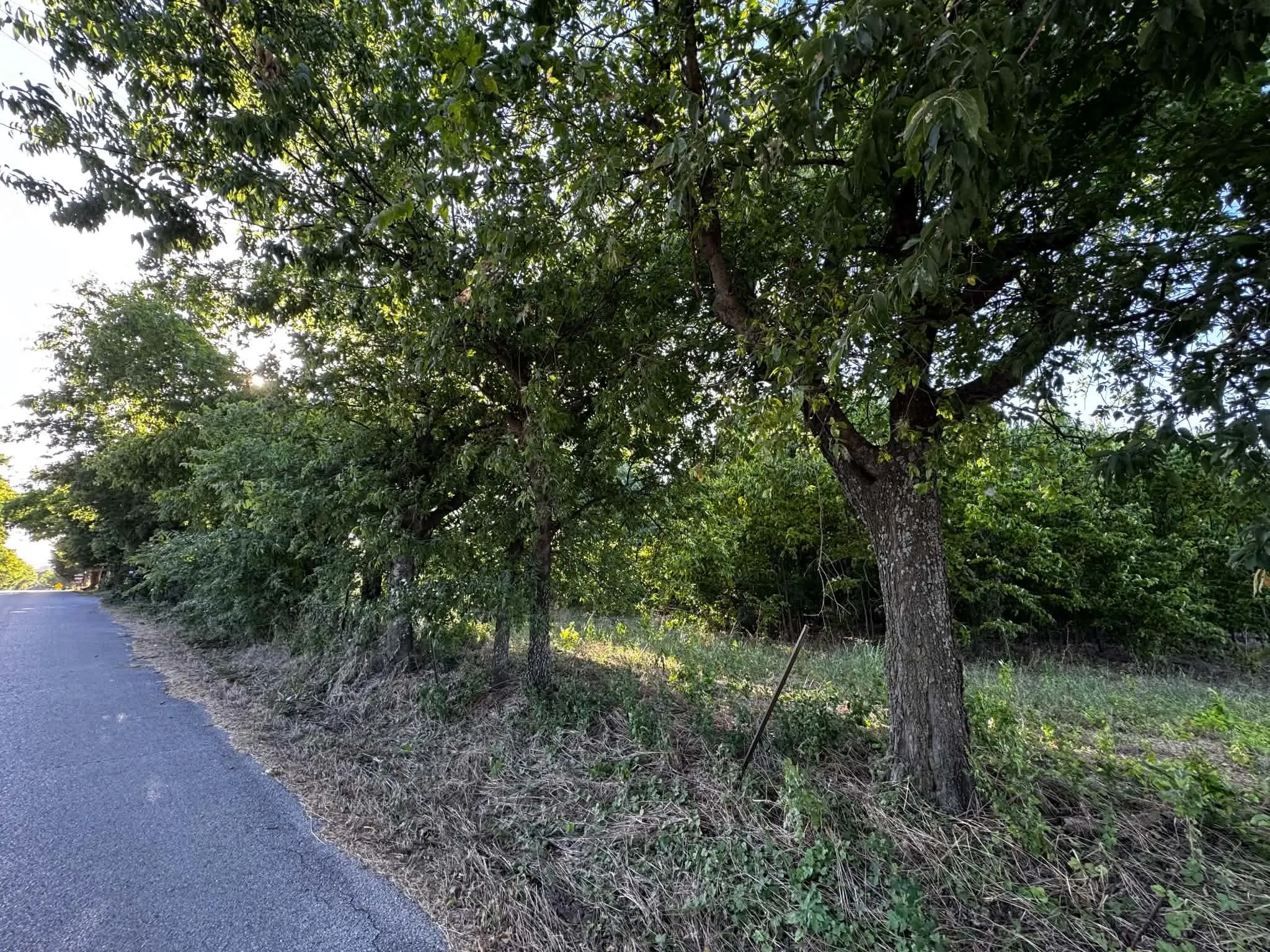 Improved Land For Sale in Denton County , 4270 Belz Road, Sanger, Texas 76266, 0, 0, Garage spaces, 0 Sqft, built in 0, Price $275,000, mls#21342257, Real Estate Agent in Sanger, Homes For Sale in Denton county, Homes For Sale in Sanger, Realtor in Sanger Texas, Real Estate Brokerage Independent Realty Texas, Luminita Cordes Realtor