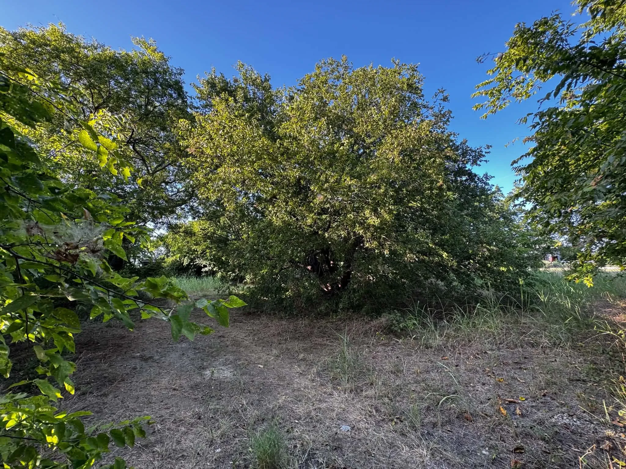 Improved Land For Sale in Denton County , 4270 Belz Road, Sanger, Texas 76266, 0, 0, Garage spaces, 0 Sqft, built in 0, Price $275,000, mls#21342257, Real Estate Agent in Sanger, Homes For Sale in Denton county, Homes For Sale in Sanger, Realtor in Sanger Texas, Real Estate Brokerage Independent Realty Texas, Luminita Cordes Realtor