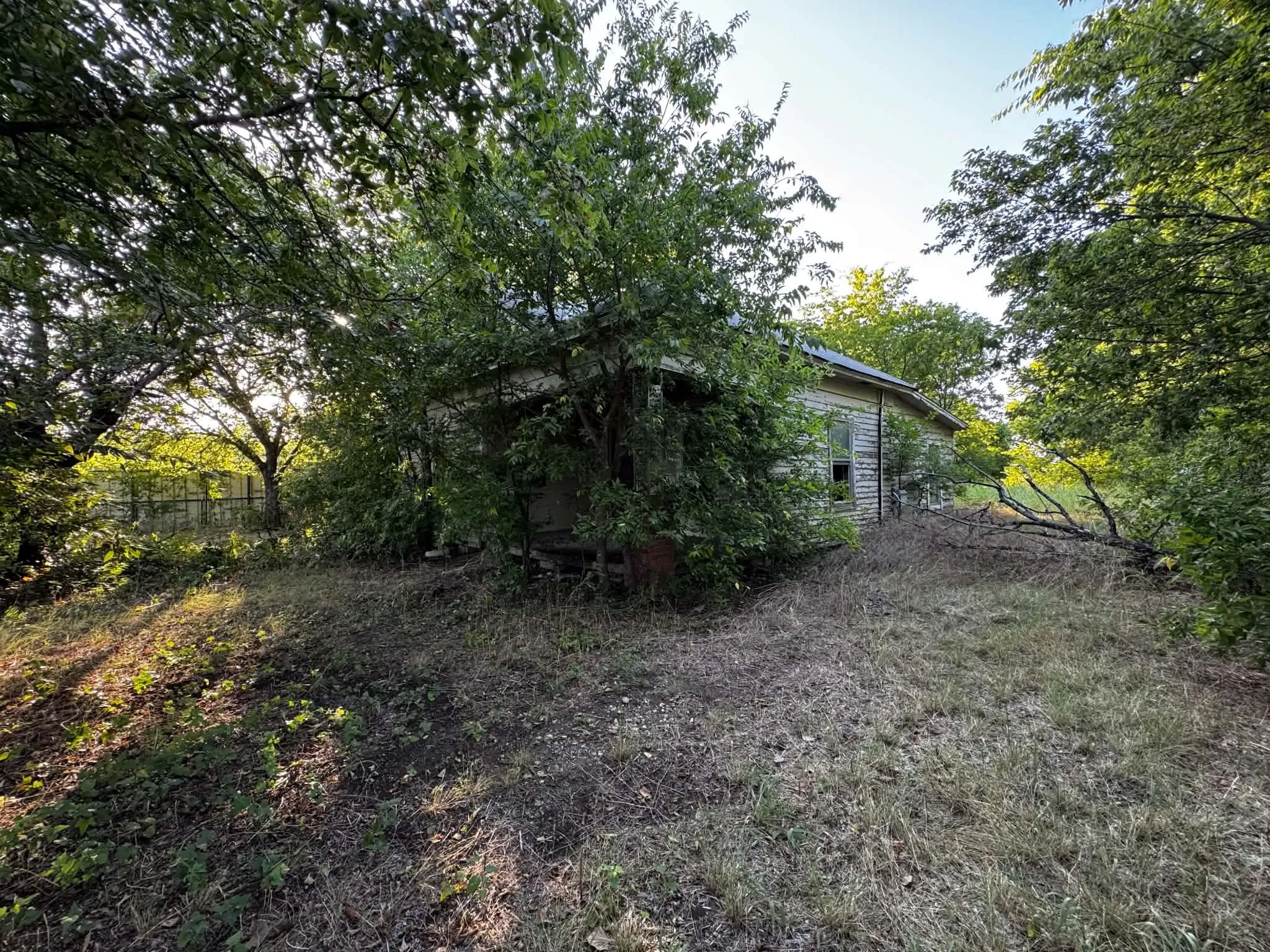 Rustic exterior structure, surrounded by dense natural foliage
