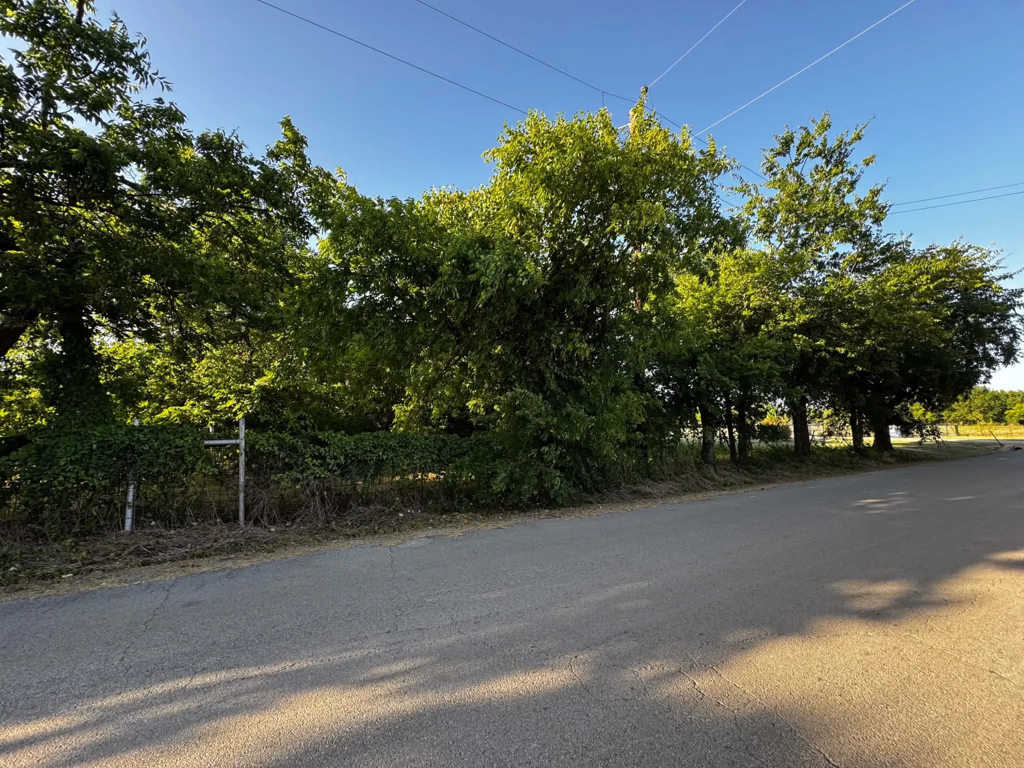 Paved road frontage bordering a tree-lined property with ample foliage