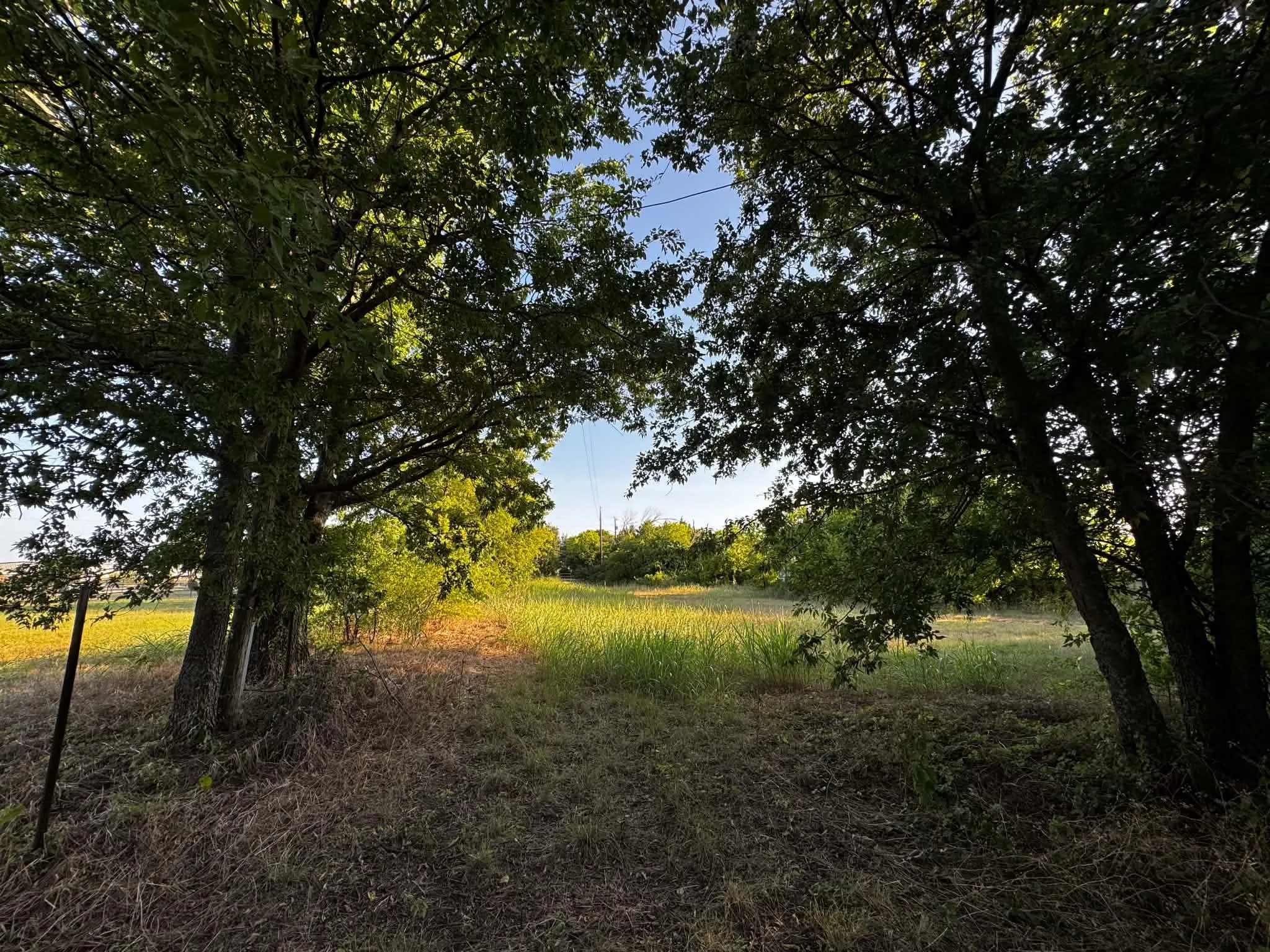 Expansive natural landscape framed by mature trees, featuring a clear sky and abundant foliage