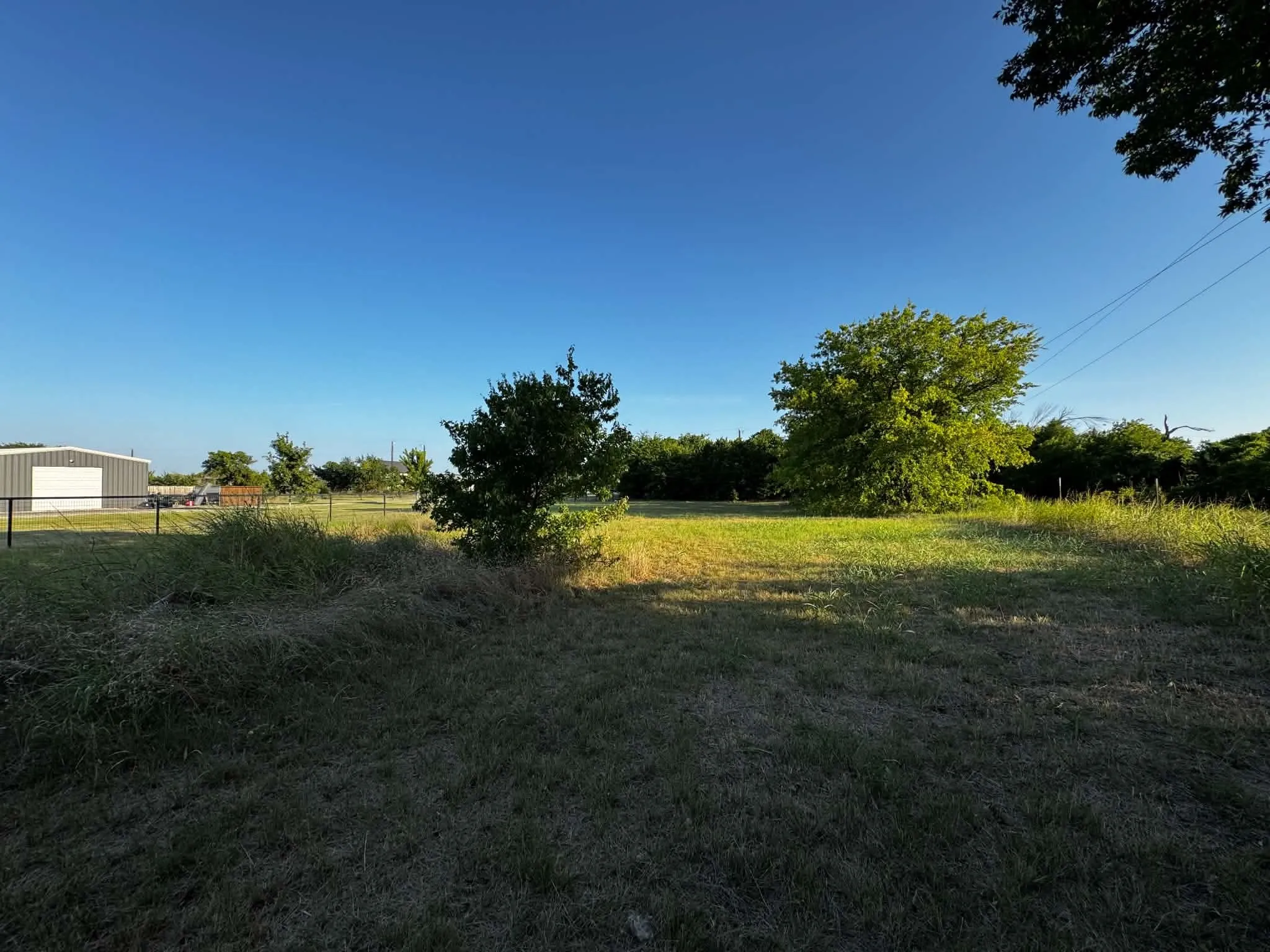 Expansive open land featuring diverse vegetation, including mature trees and natural grasses