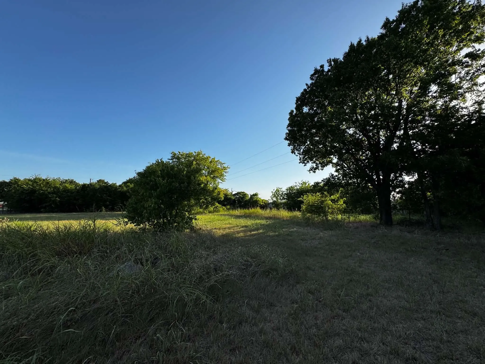Expansive open land featuring diverse foliage and a clear sky