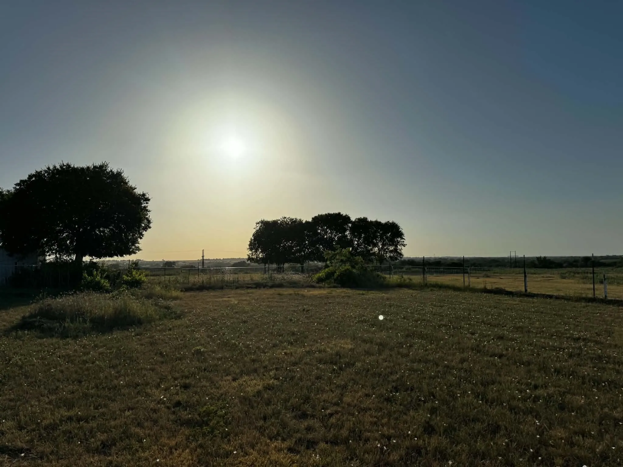 Expansive grass field featuring scattered trees and a perimeter fence