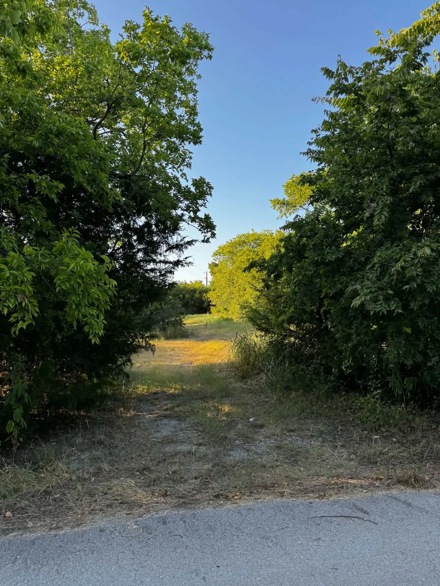 Improved Land For Sale in Denton County , 4270 Belz Road, Sanger, Texas 76266, 0, 0, Garage spaces, 0 Sqft, built in 0, Price $275,000, mls#21342257, Real Estate Agent in Sanger, Homes For Sale in Denton county, Homes For Sale in Sanger, Realtor in Sanger Texas, Real Estate Brokerage Independent Realty Texas, Luminita Cordes Realtor
