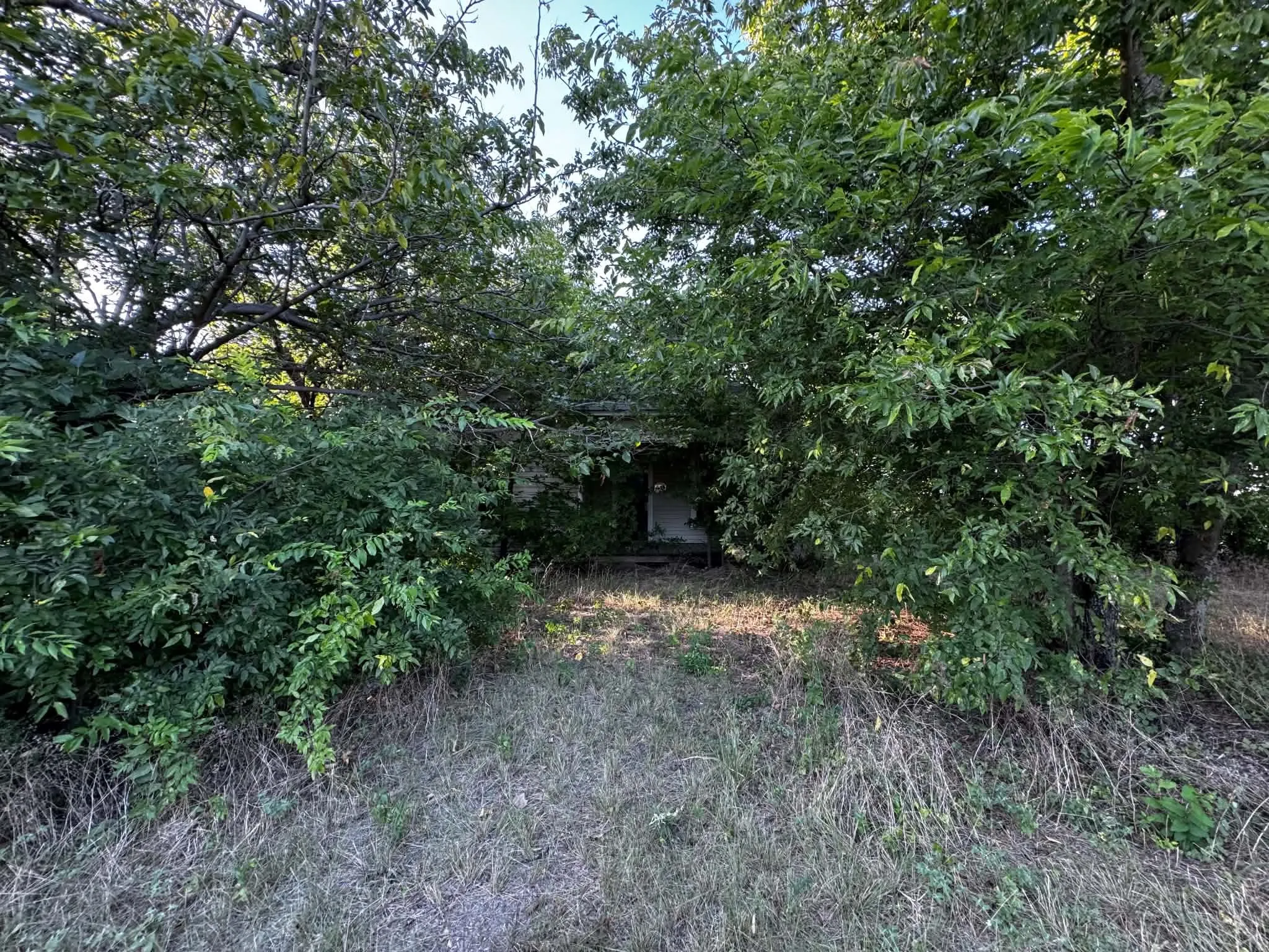 Improved Land For Sale in Denton County , 4270 Belz Road, Sanger, Texas 76266, 0, 0, Garage spaces, 0 Sqft, built in 0, Price $275,000, mls#21342257, Real Estate Agent in Sanger, Homes For Sale in Denton county, Homes For Sale in Sanger, Realtor in Sanger Texas, Real Estate Brokerage Independent Realty Texas, Luminita Cordes Realtor