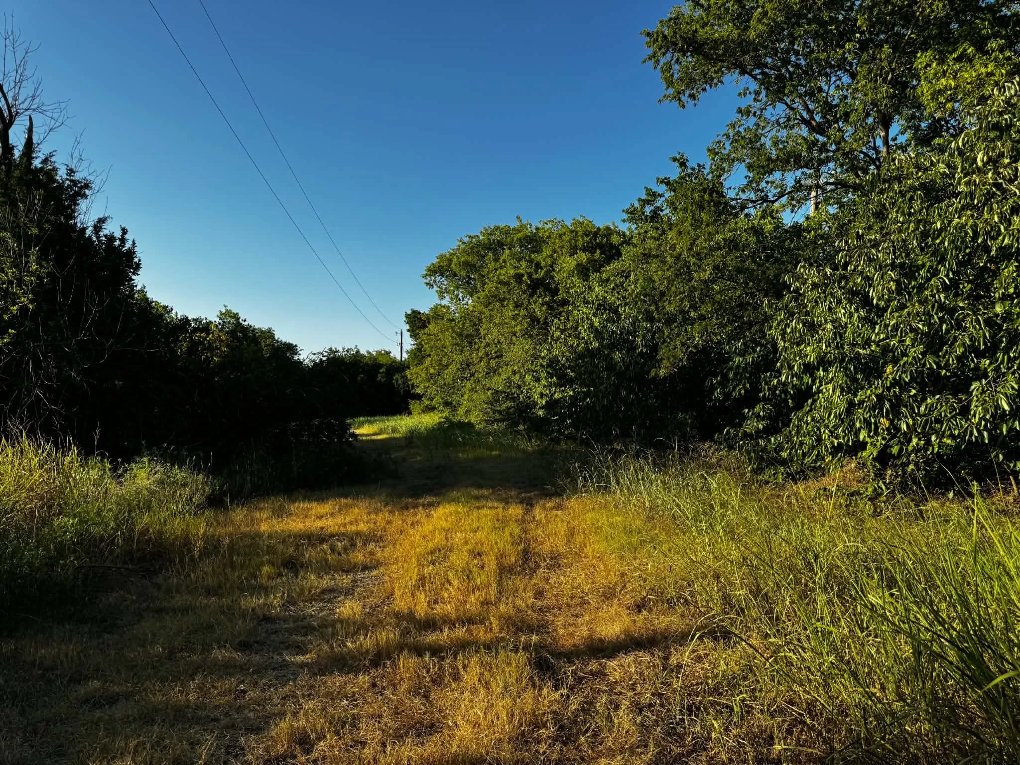 Improved Land For Sale in Denton County , 4270 Belz Road, Sanger, Texas 76266, 0, 0, Garage spaces, 0 Sqft, built in 0, Price $275,000, mls#21342257, Real Estate Agent in Sanger, Homes For Sale in Denton county, Homes For Sale in Sanger, Realtor in Sanger Texas, Real Estate Brokerage Independent Realty Texas, Luminita Cordes Realtor