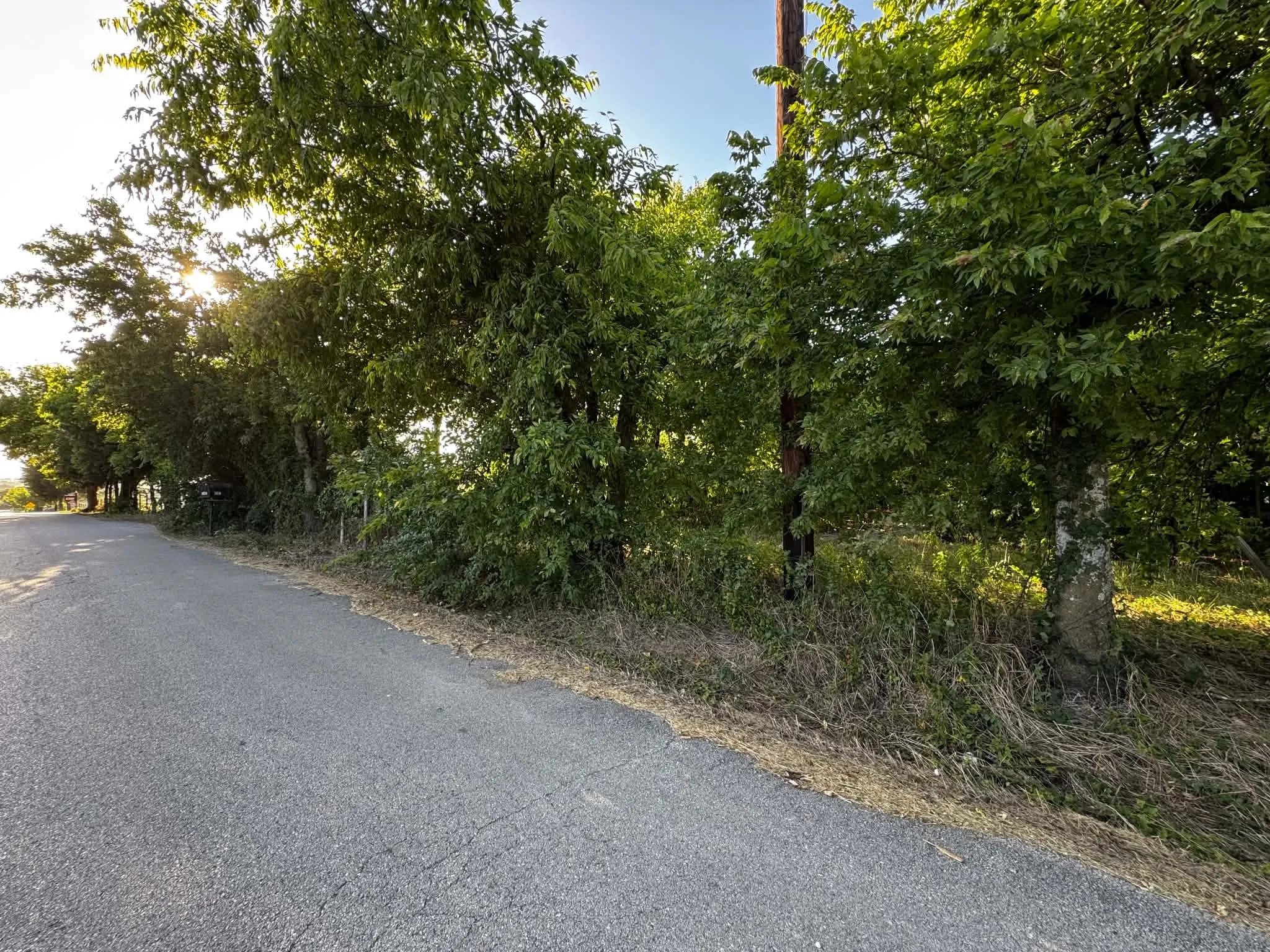 Paved road frontage with mature tree line