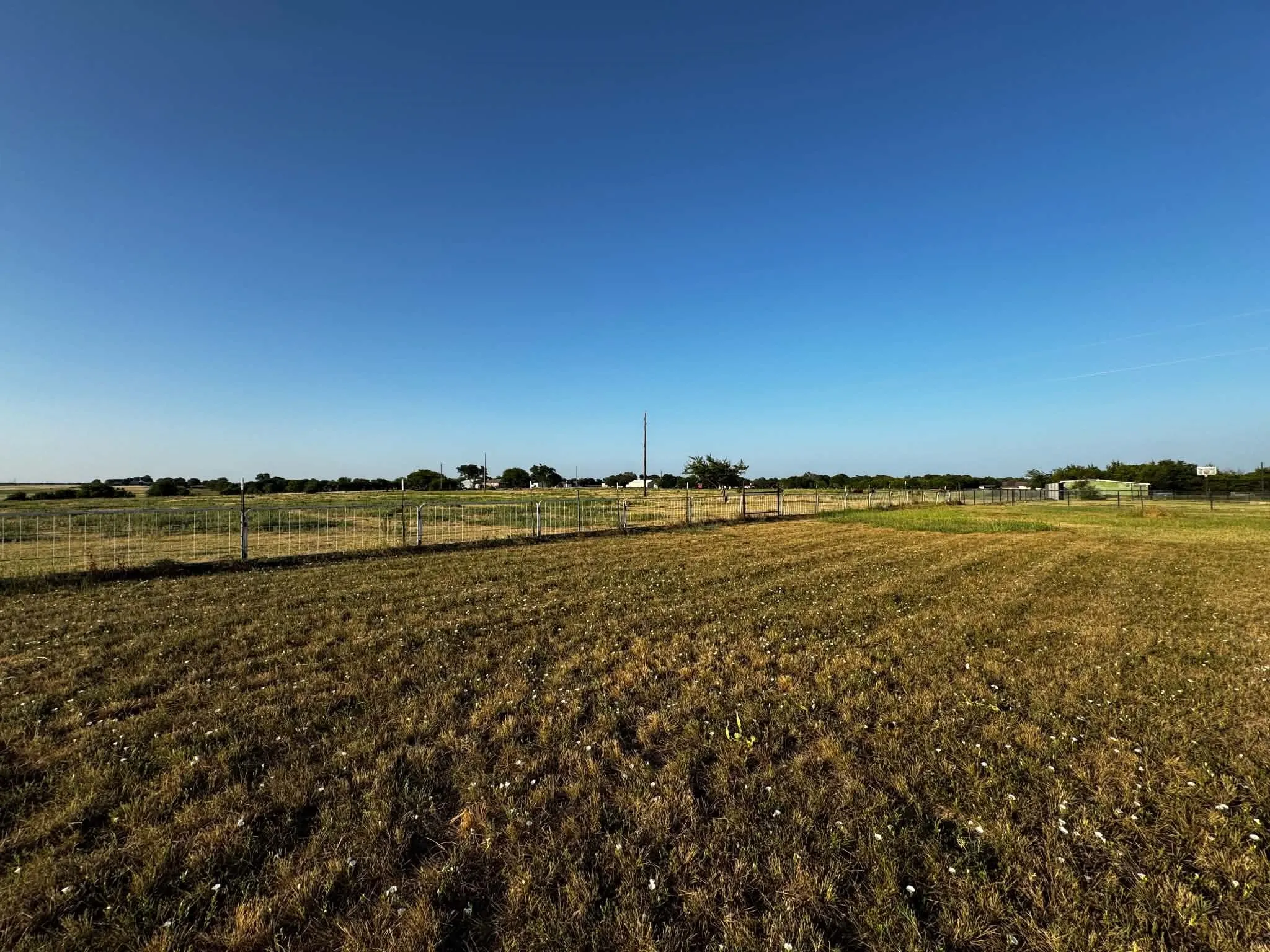 Expansive open field with scattered dry vegetation
