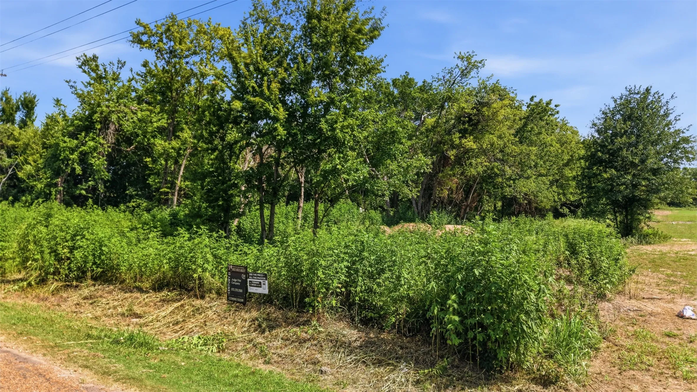 Unimproved Land For Sale in Van Zandt County , 1241 vz county road 2718, Mabank, Texas 75147, 0, 0, Garage spaces, 0 Sqft, built in 0, Price $72,500, mls#21338411, Real Estate Agent in Mabank, Homes For Sale in Van Zandt county, Homes For Sale in Mabank, Realtor in Mabank Texas, Real Estate Brokerage Independent Realty Texas, Luminita Cordes Realtor