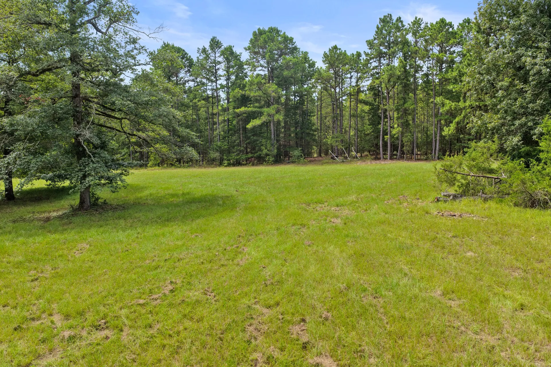Improved Land For Sale in Cass County , 1381 COUNTY ROAD 1763, Linden, Texas 75563, 0, 0, Garage spaces, 0 Sqft, built in 1996, mls#21342346, Real Estate Agent in Linden, Homes For Sale in Cass county, Homes For Sale in Linden, Realtor in Linden Texas, Real Estate Brokerage Independent Realty Texas, Luminita Cordes Realtor