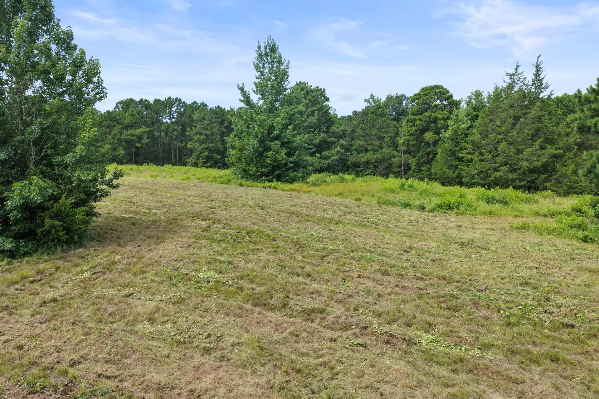 Improved Land For Sale in Cass County , 1381 COUNTY ROAD 1763, Linden, Texas 75563, 0, 0, Garage spaces, 0 Sqft, built in 1996, mls#21342346, Real Estate Agent in Linden, Homes For Sale in Cass county, Homes For Sale in Linden, Realtor in Linden Texas, Real Estate Brokerage Independent Realty Texas, Luminita Cordes Realtor