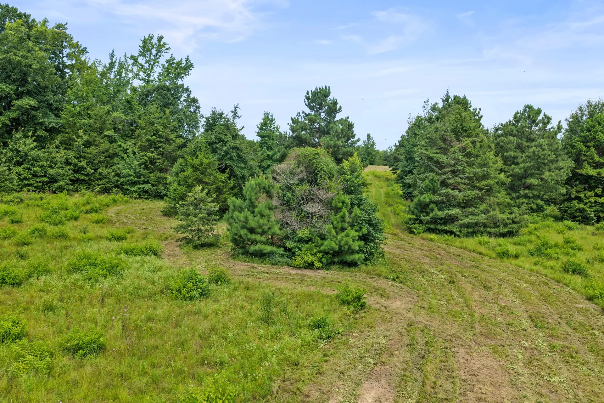 Improved Land For Sale in Cass County , 1381 COUNTY ROAD 1763, Linden, Texas 75563, 0, 0, Garage spaces, 0 Sqft, built in 1996, mls#21342346, Real Estate Agent in Linden, Homes For Sale in Cass county, Homes For Sale in Linden, Realtor in Linden Texas, Real Estate Brokerage Independent Realty Texas, Luminita Cordes Realtor