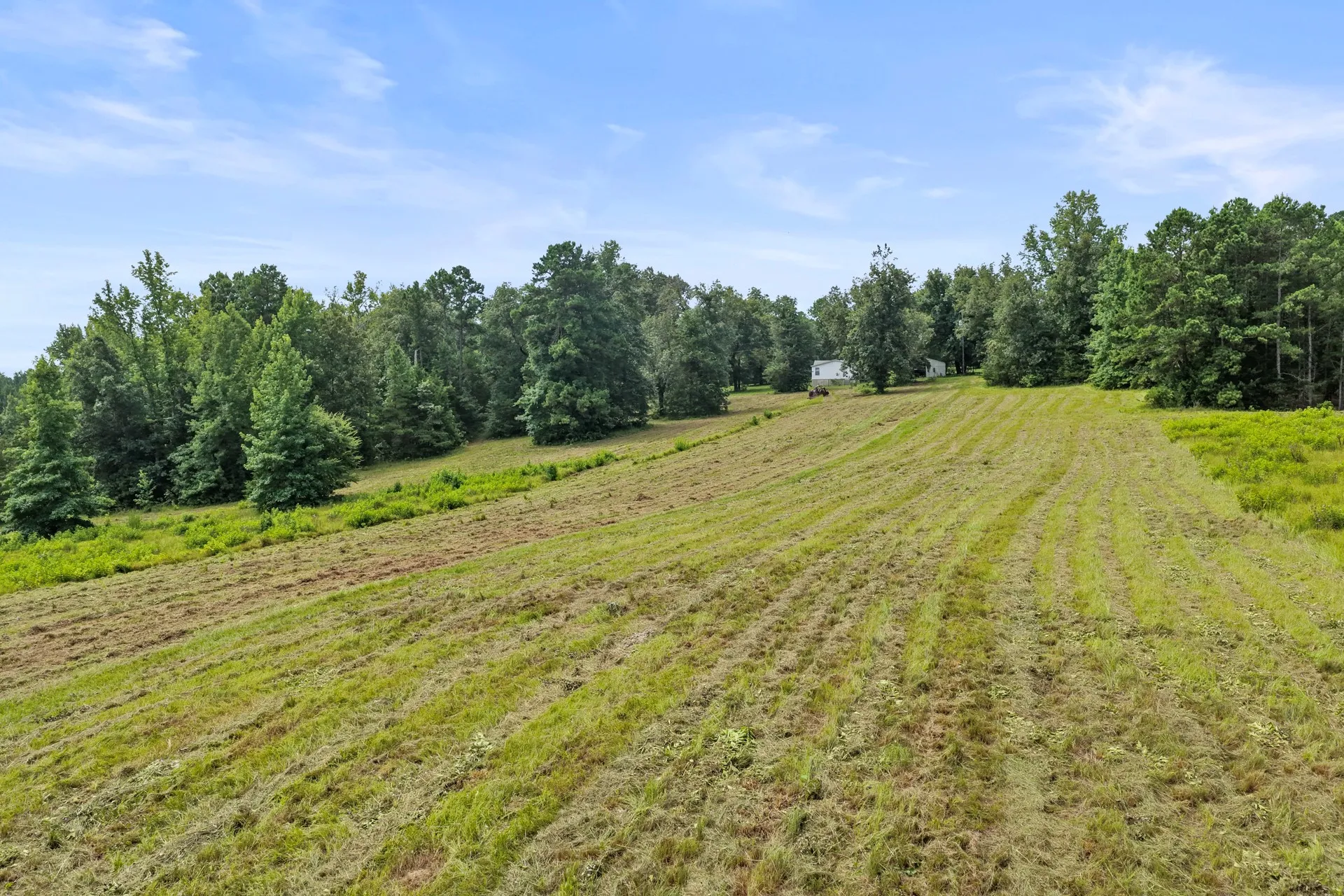 Improved Land For Sale in Cass County , 1381 COUNTY ROAD 1763, Linden, Texas 75563, 0, 0, Garage spaces, 0 Sqft, built in 1996, mls#21342346, Real Estate Agent in Linden, Homes For Sale in Cass county, Homes For Sale in Linden, Realtor in Linden Texas, Real Estate Brokerage Independent Realty Texas, Luminita Cordes Realtor