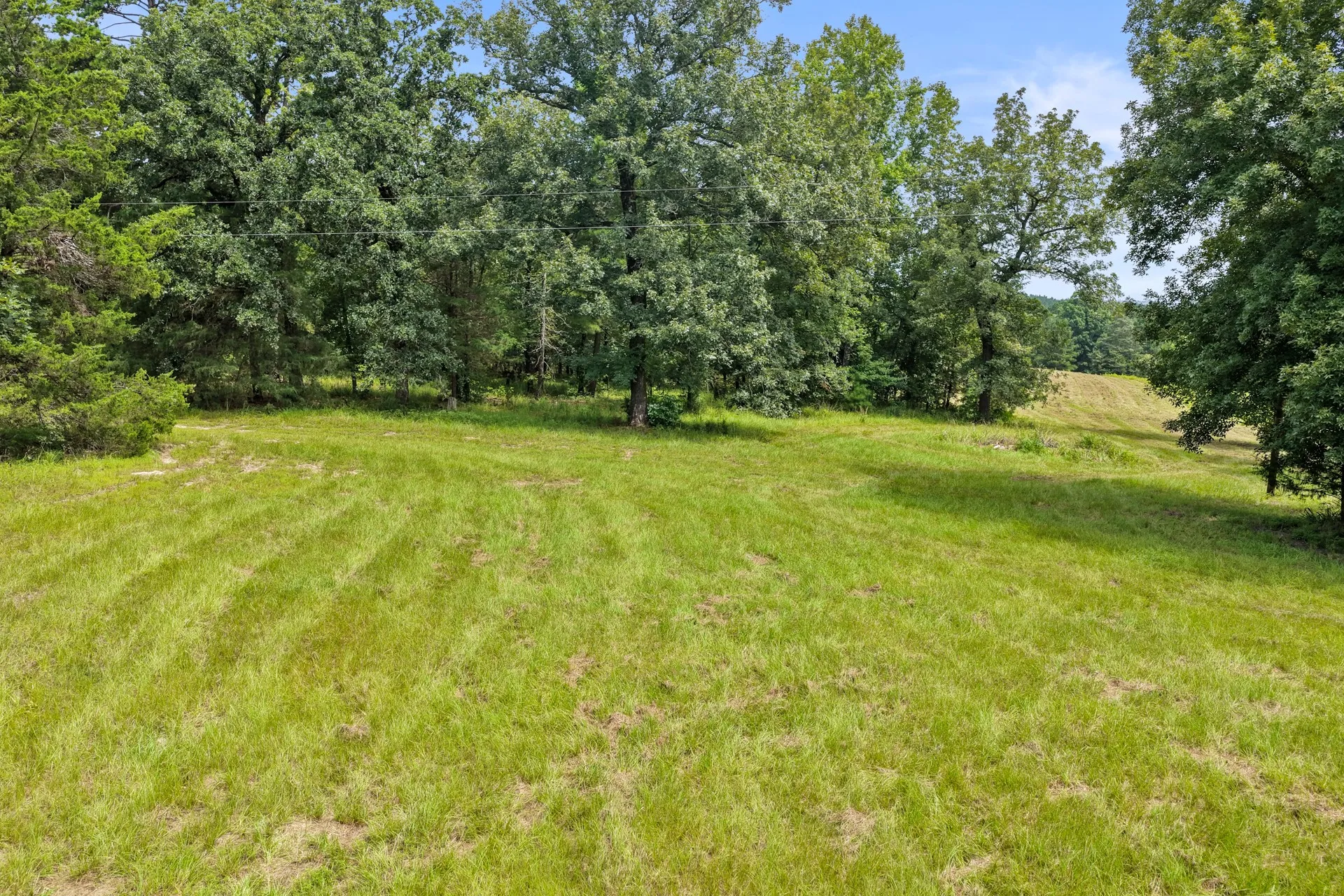 Improved Land For Sale in Cass County , 1381 COUNTY ROAD 1763, Linden, Texas 75563, 0, 0, Garage spaces, 0 Sqft, built in 1996, mls#21342346, Real Estate Agent in Linden, Homes For Sale in Cass county, Homes For Sale in Linden, Realtor in Linden Texas, Real Estate Brokerage Independent Realty Texas, Luminita Cordes Realtor